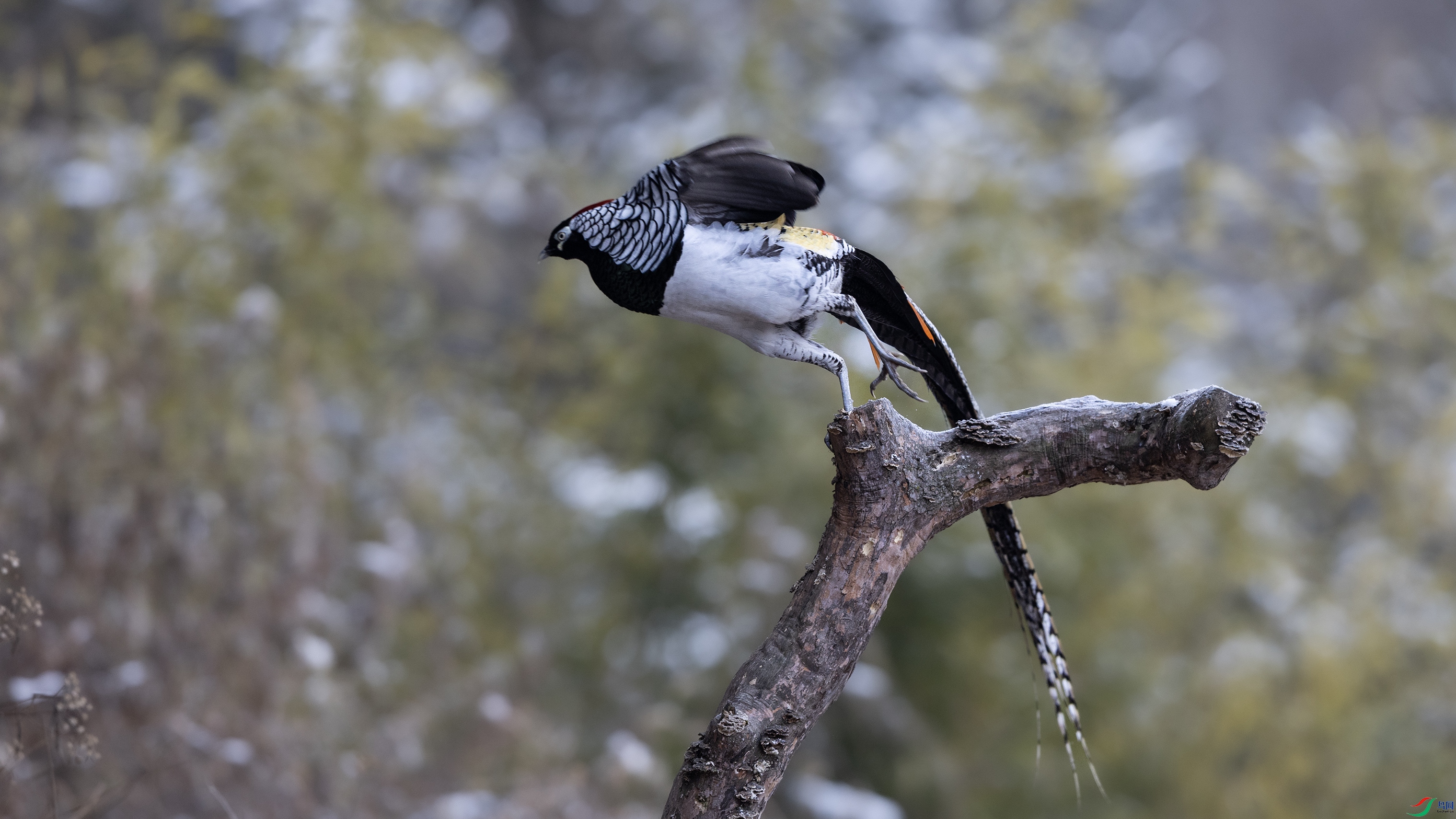 7X5A7820 ����.jpg