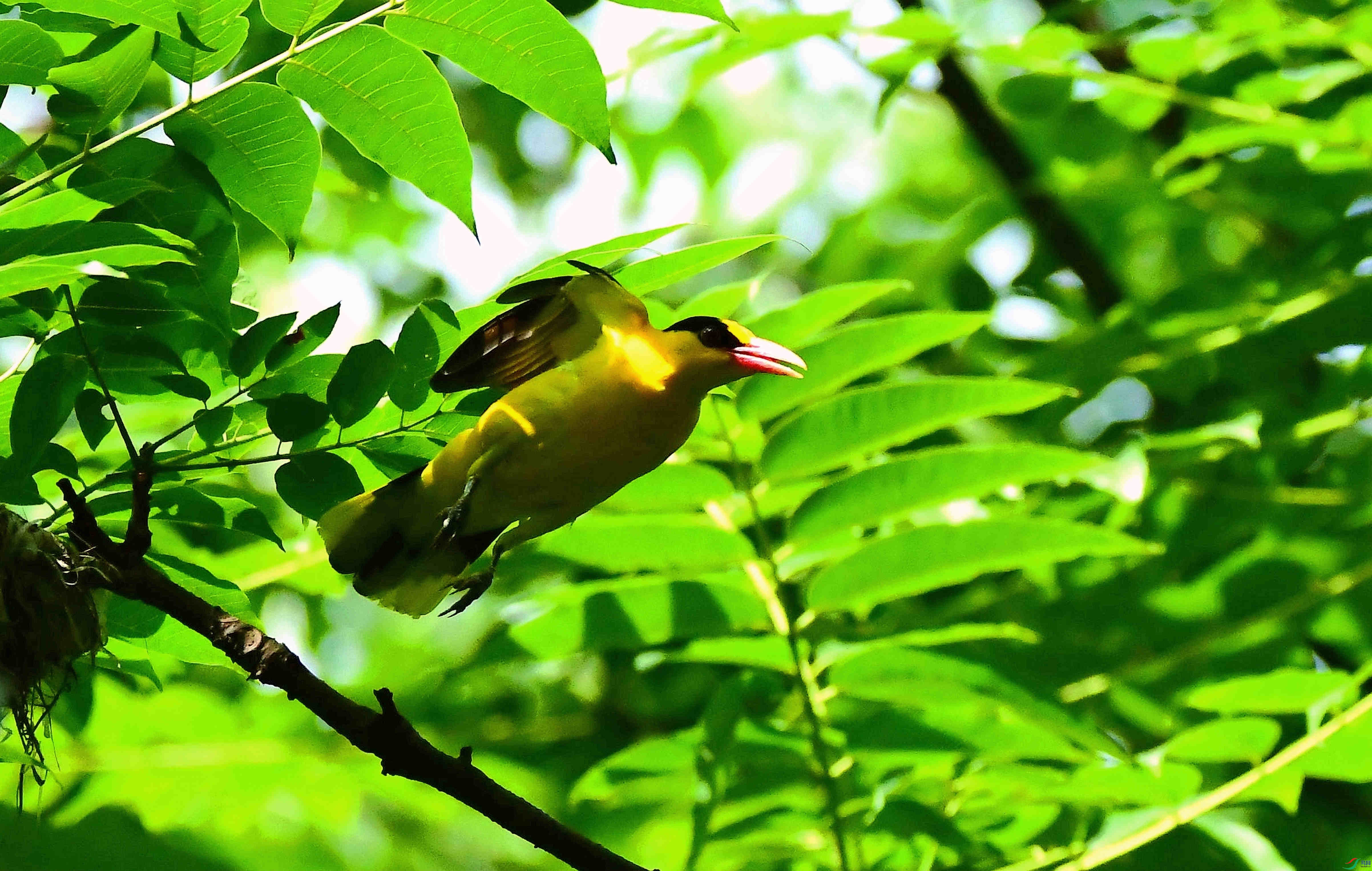 DSC_7649_����.jpg
