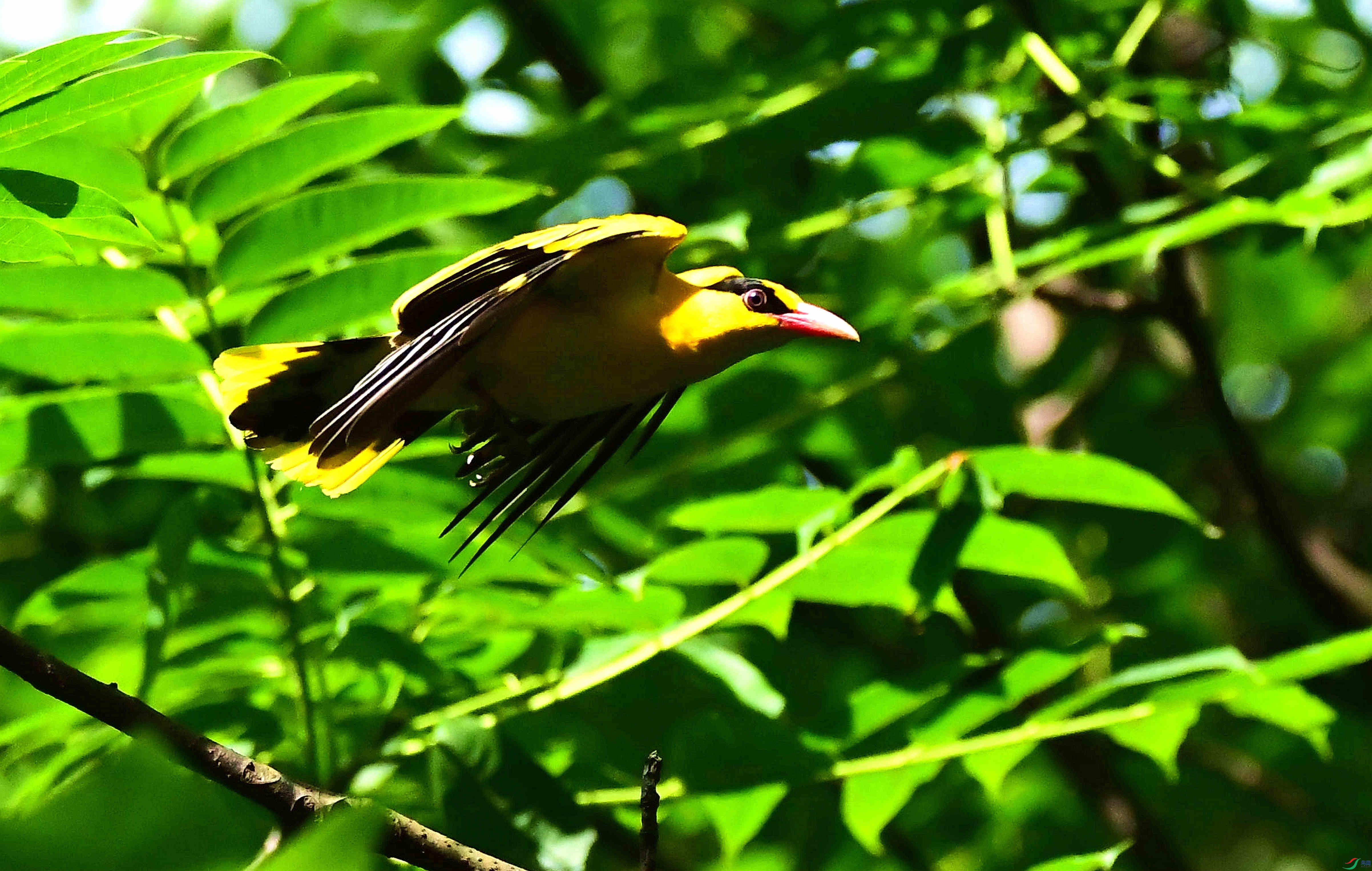 DSC_7650_����.jpg