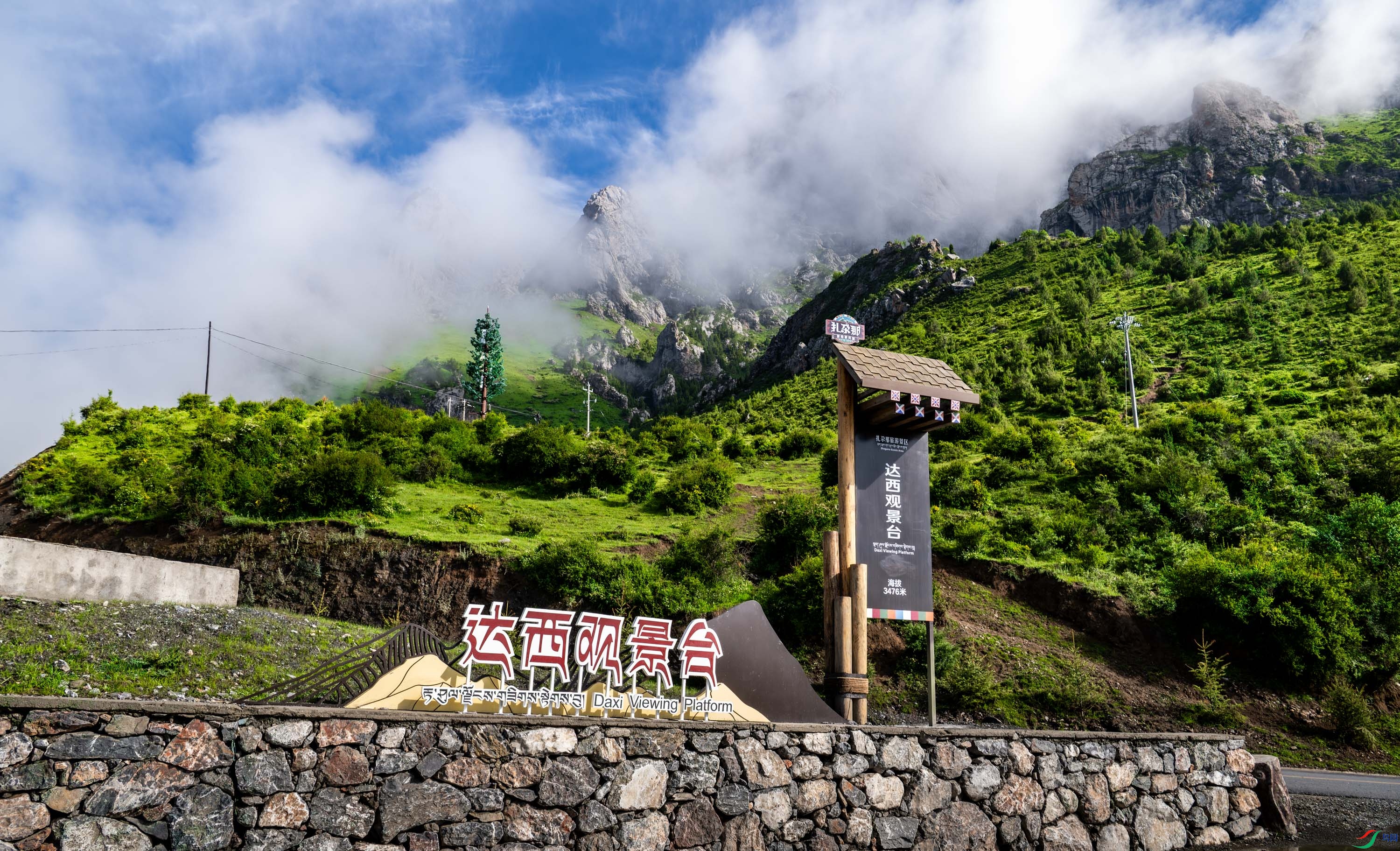 DSC_9654_1.jpg