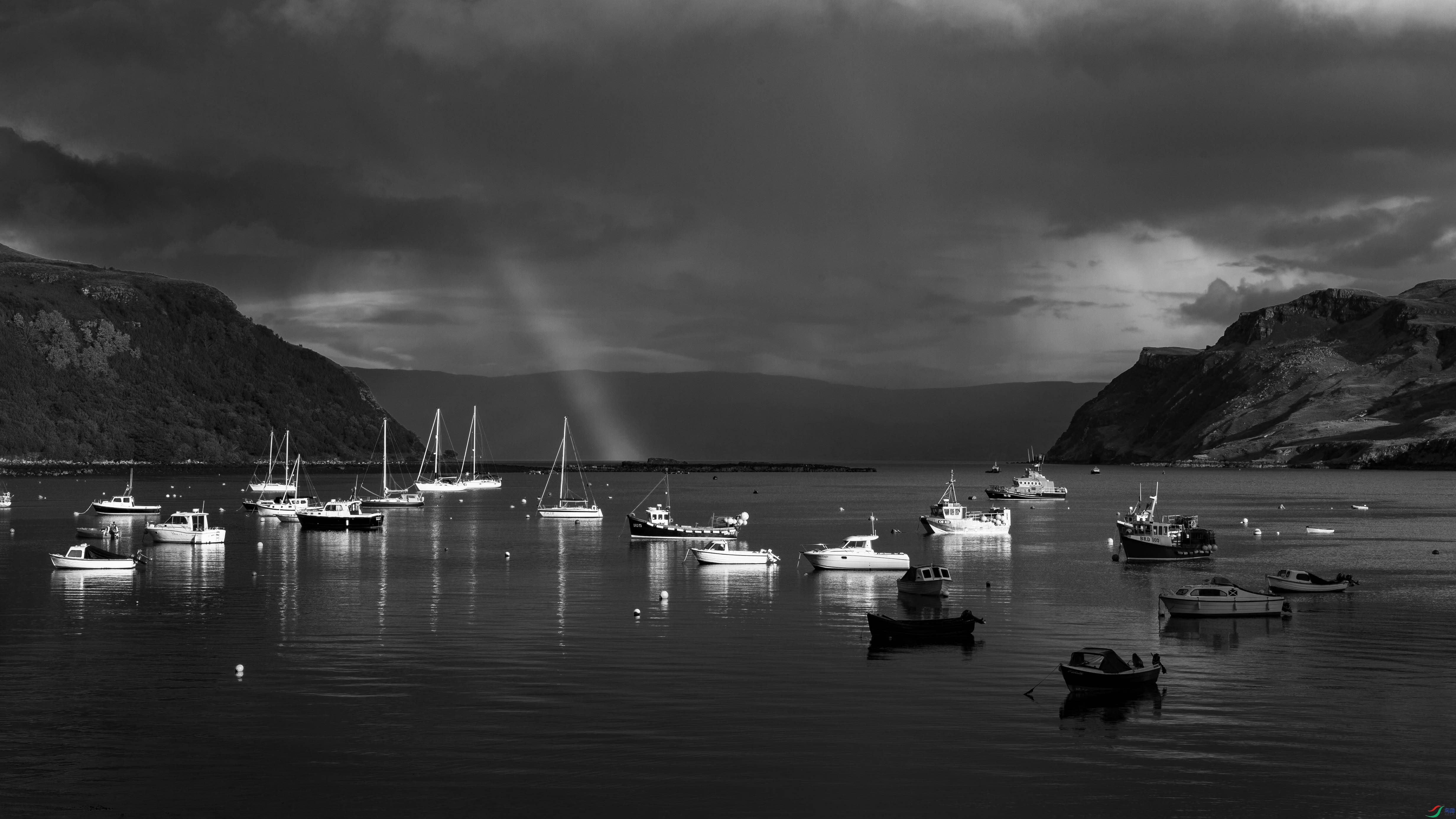 DSC_3335.jpg