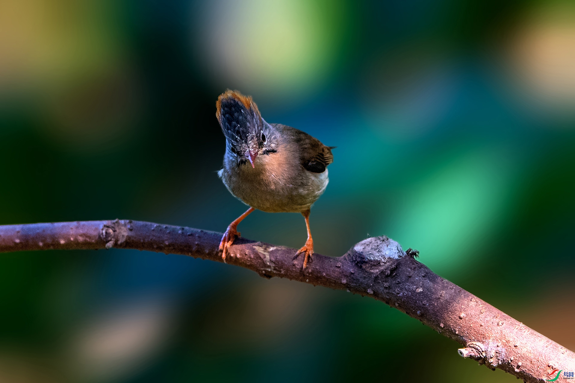 _AUU4163���η���(24.2.17).jpg