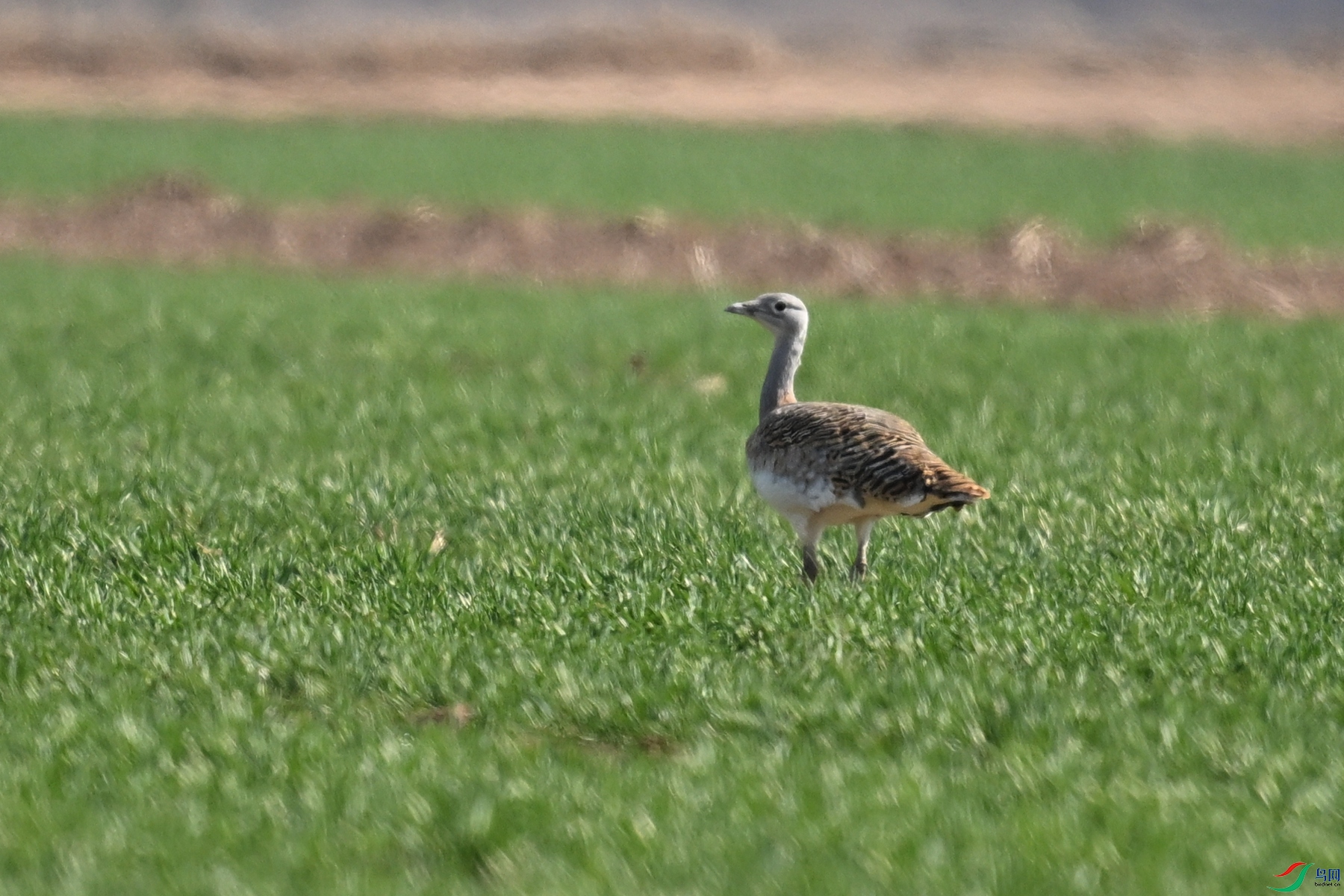 DSC_9714.JPG