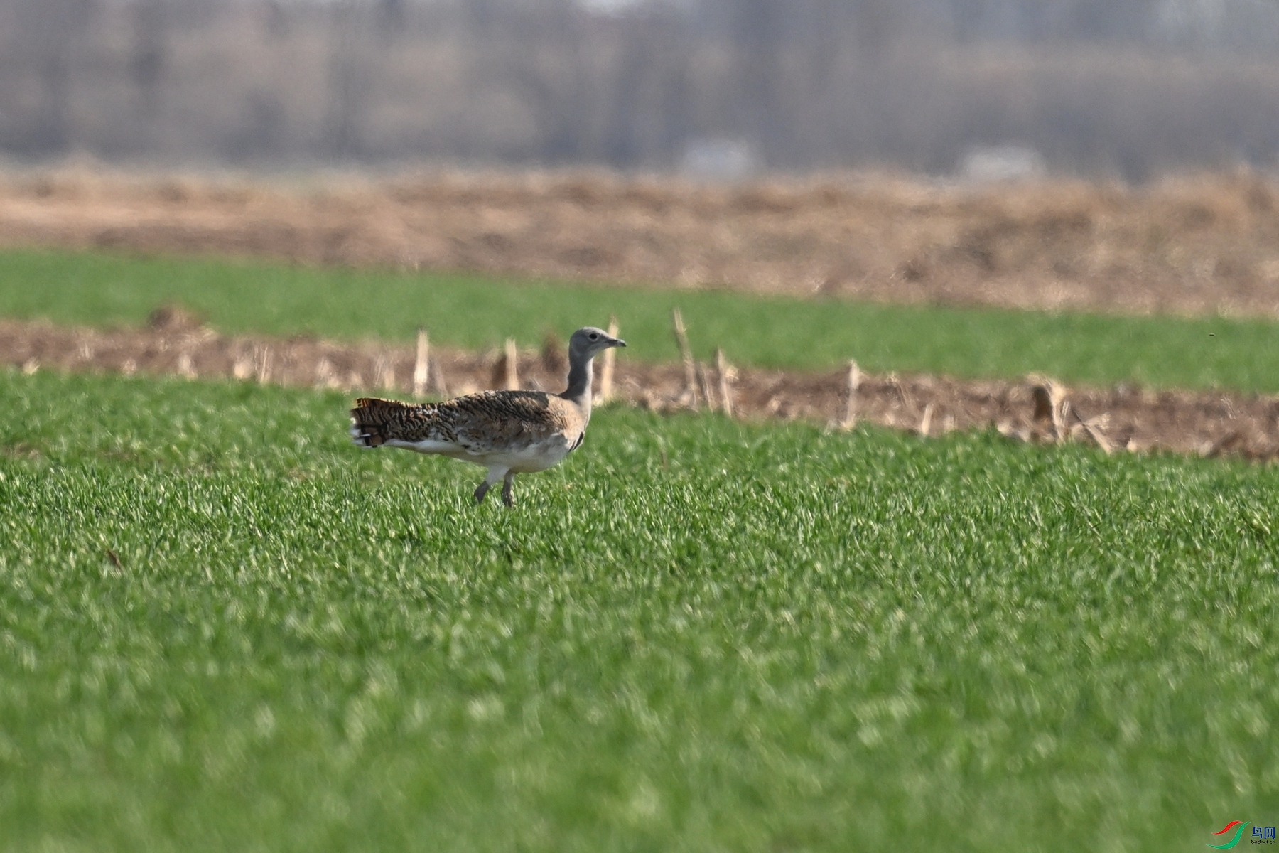 DSC_9724.JPG
