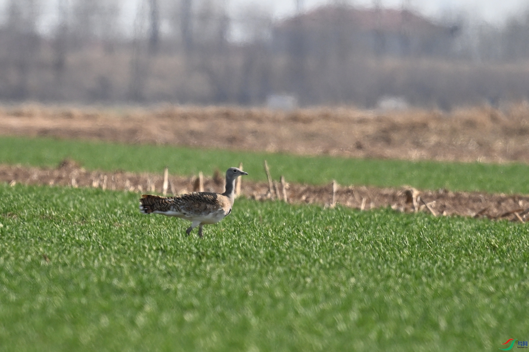 DSC_9725.JPG