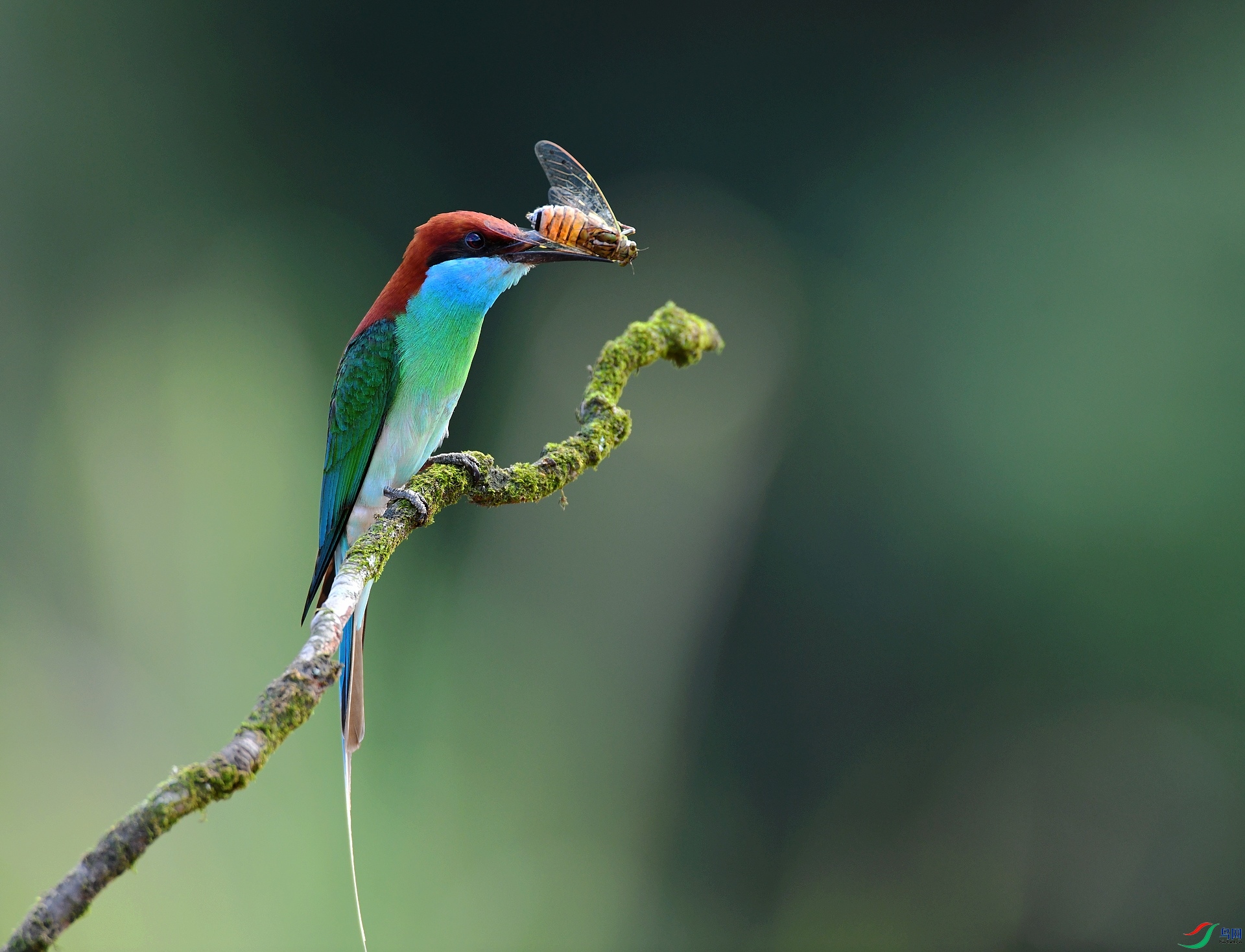 DSC_3067.jpg