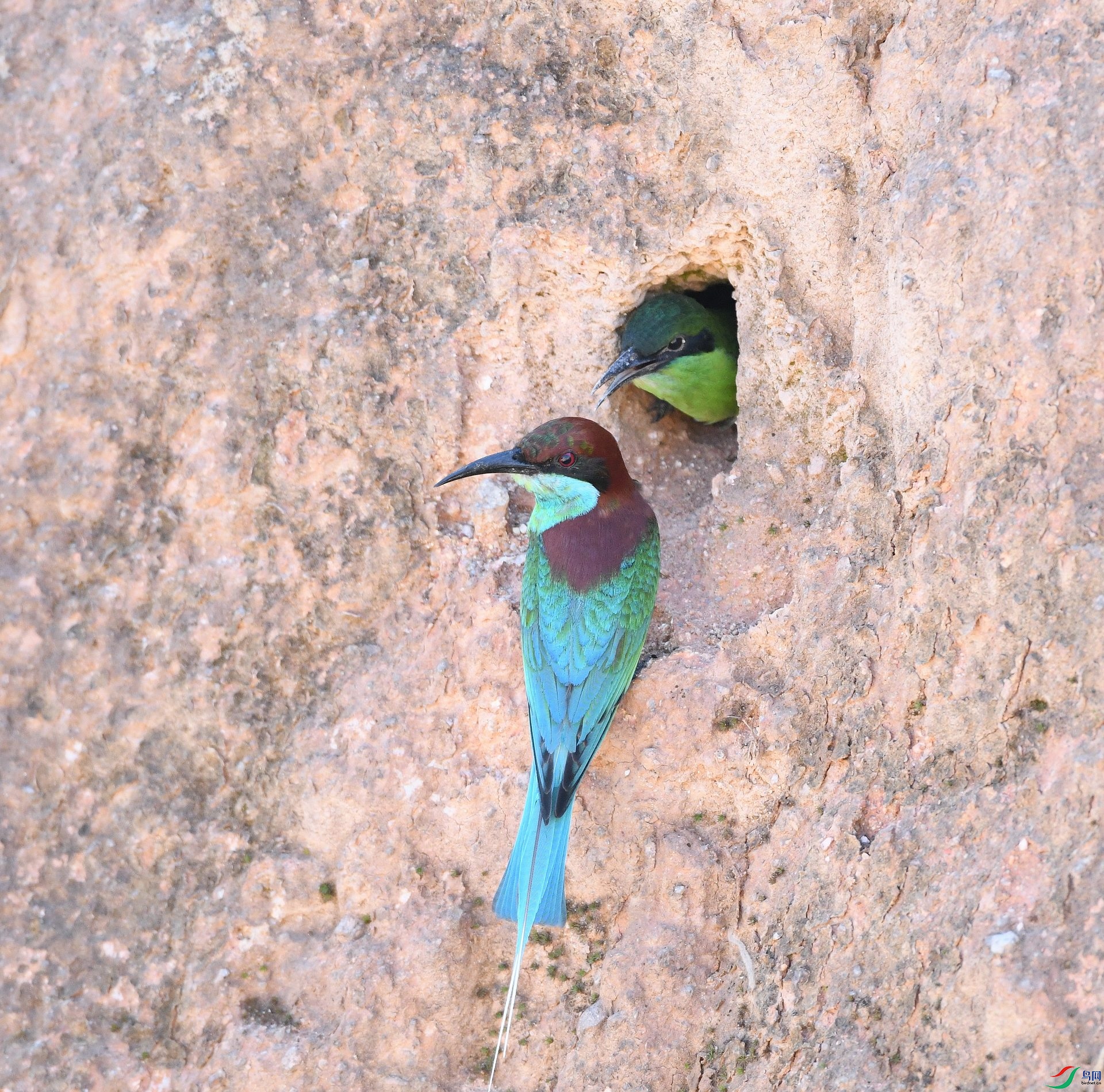 DSC_8122.jpg