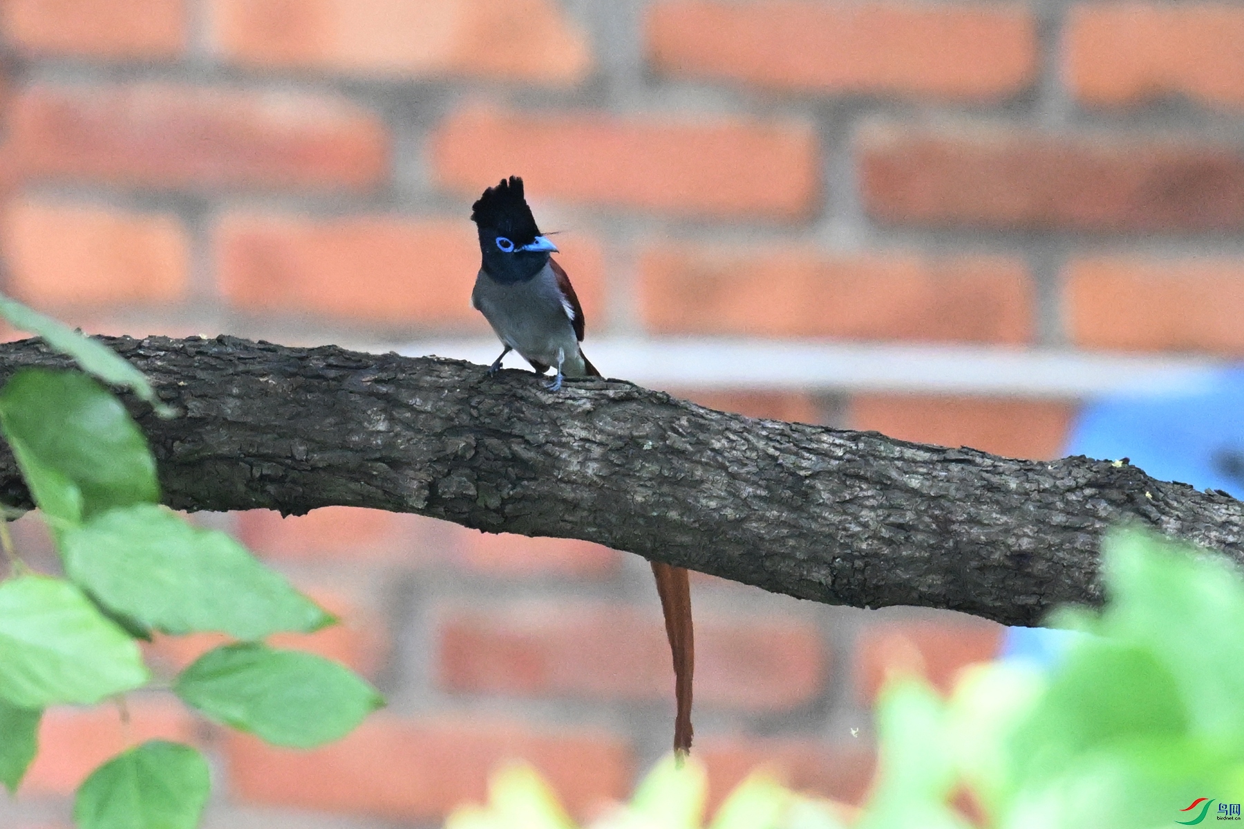 DSC_5430.JPG