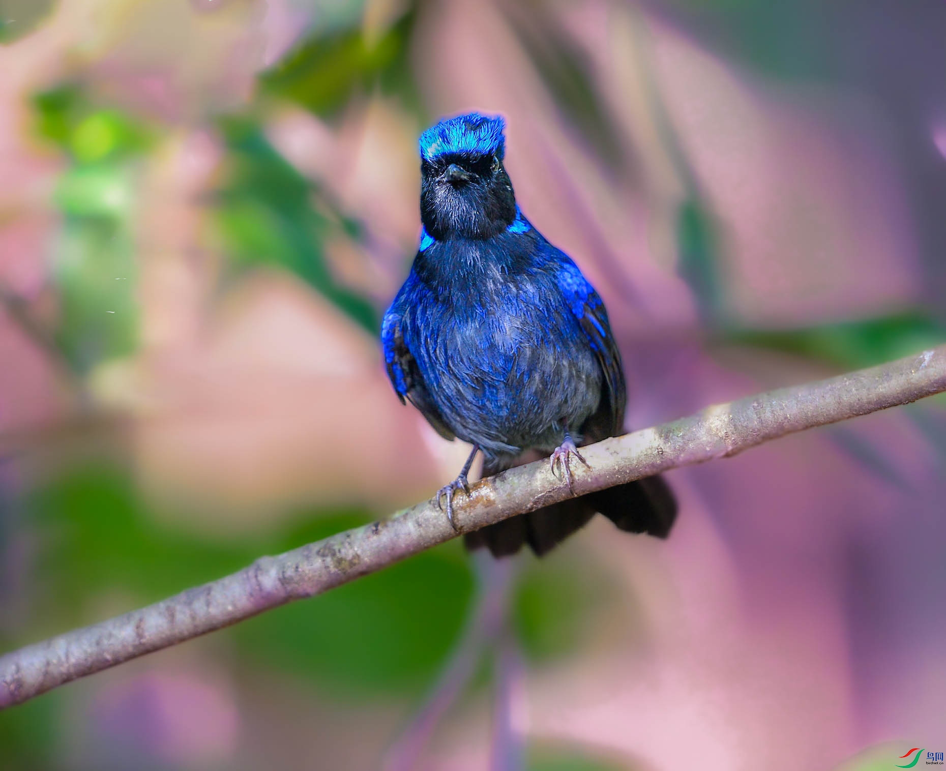 DSC_9023_���ٿ�ͼ(2)����.jpg