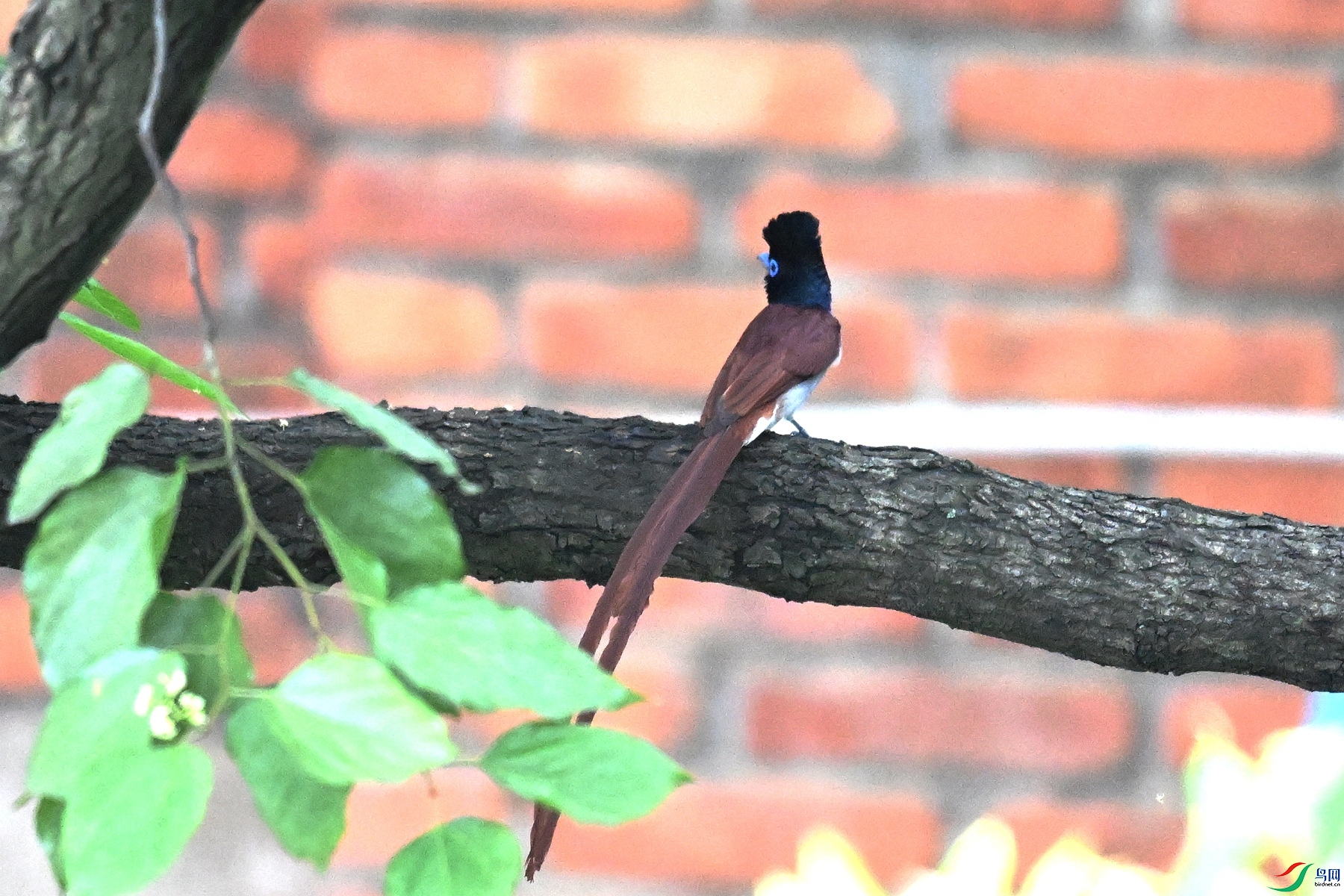 DSC_5451.JPG