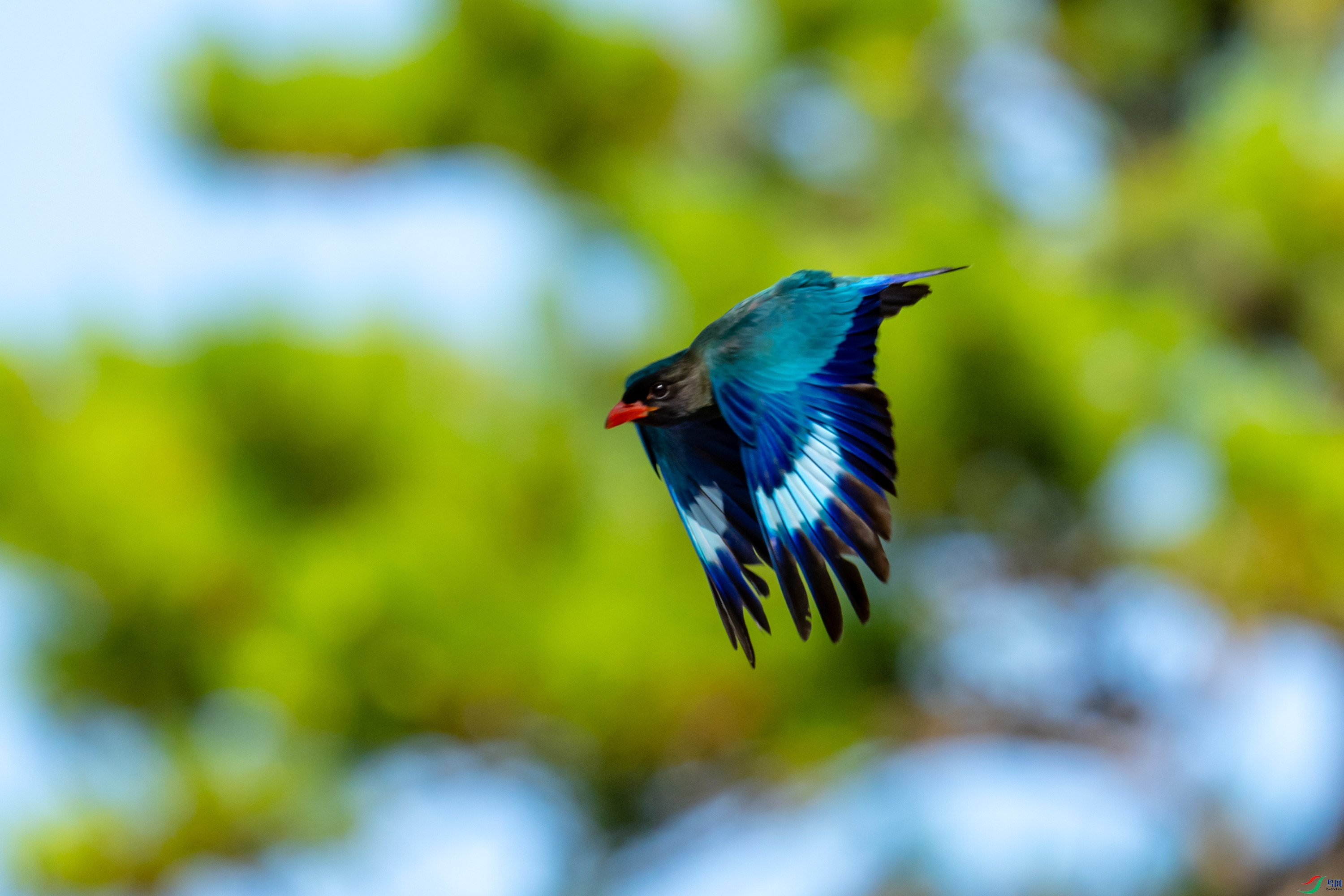 DSC_2527.jpg