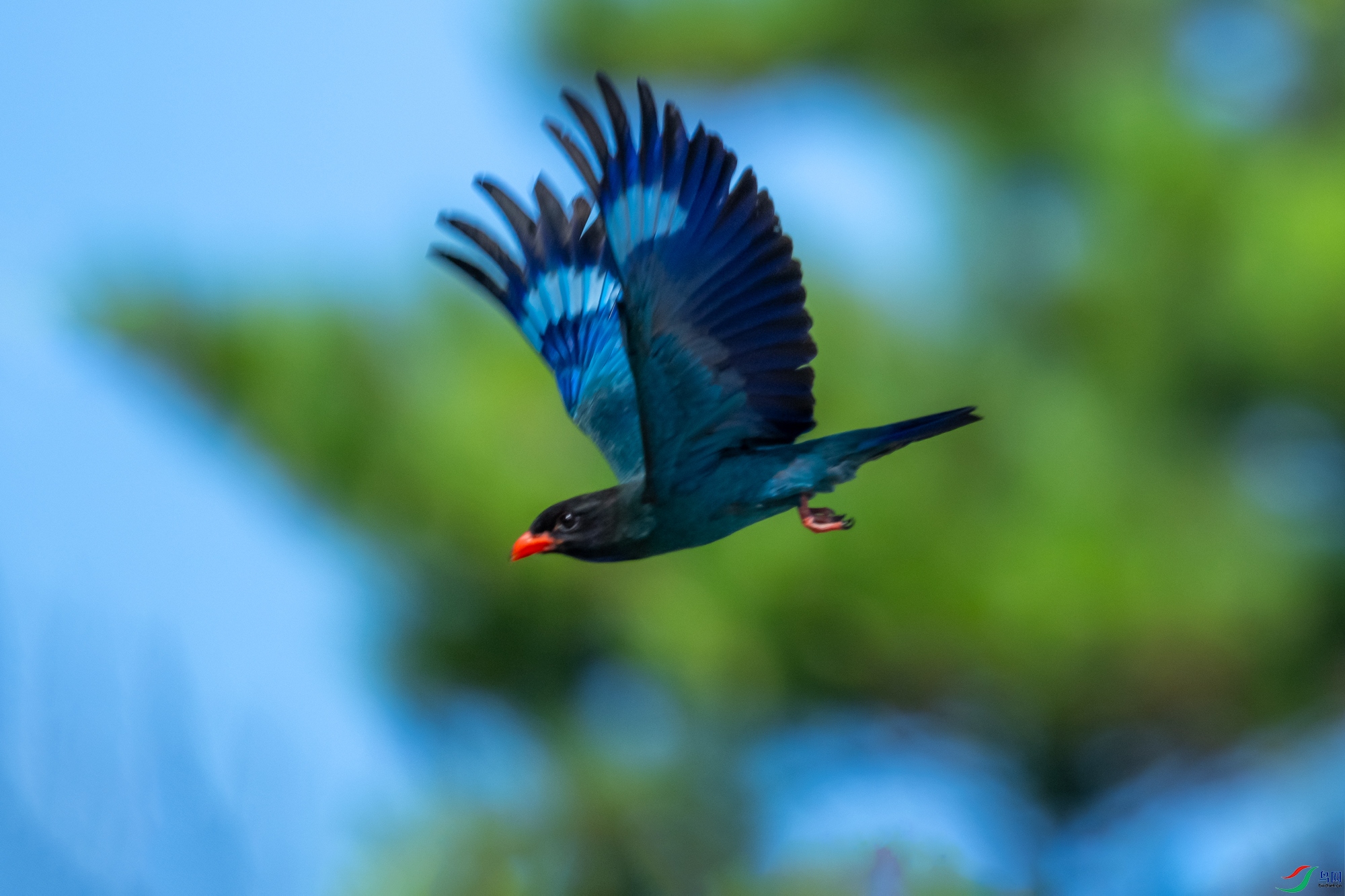 DSC_2812.jpg