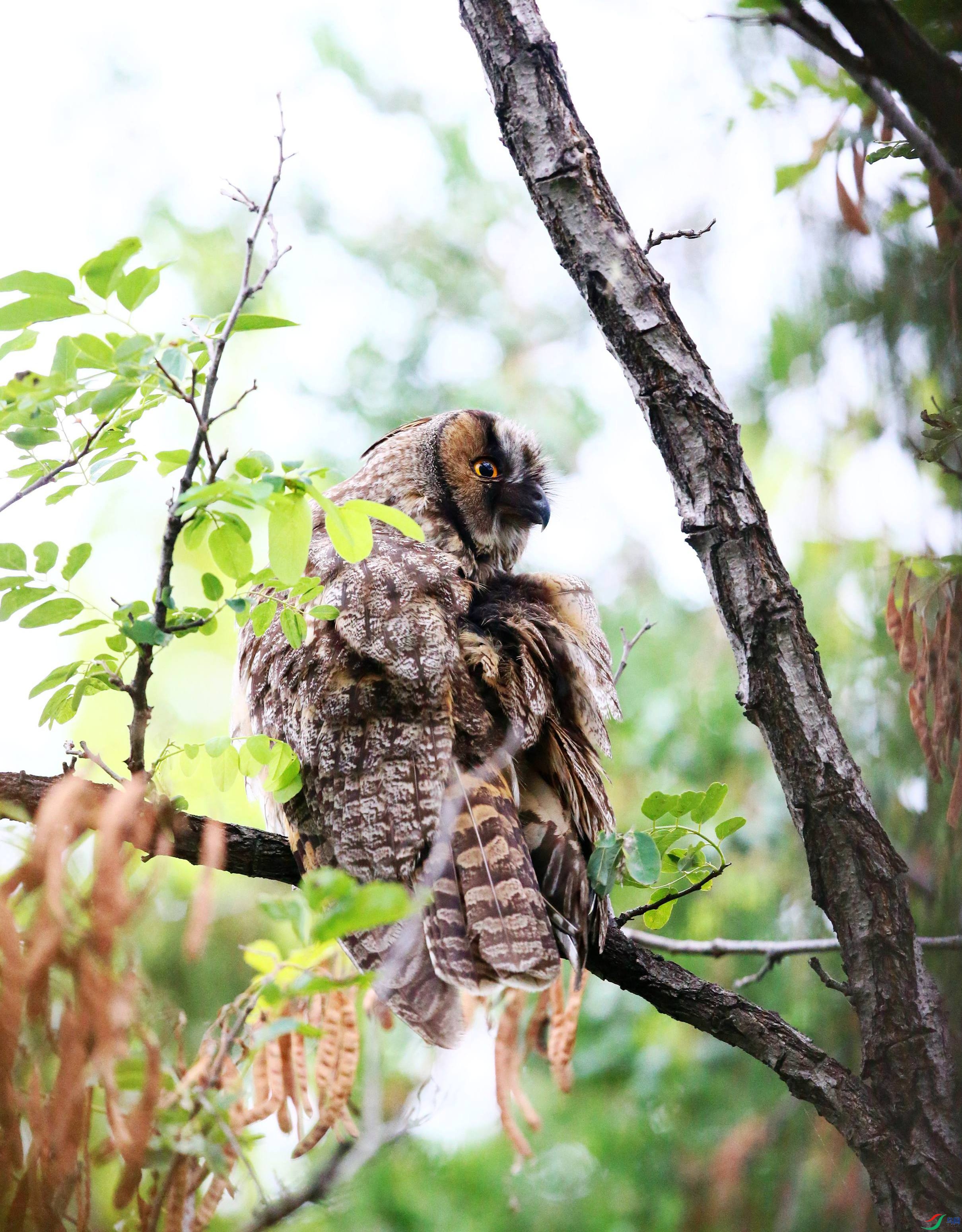 �����^ (3).JPG