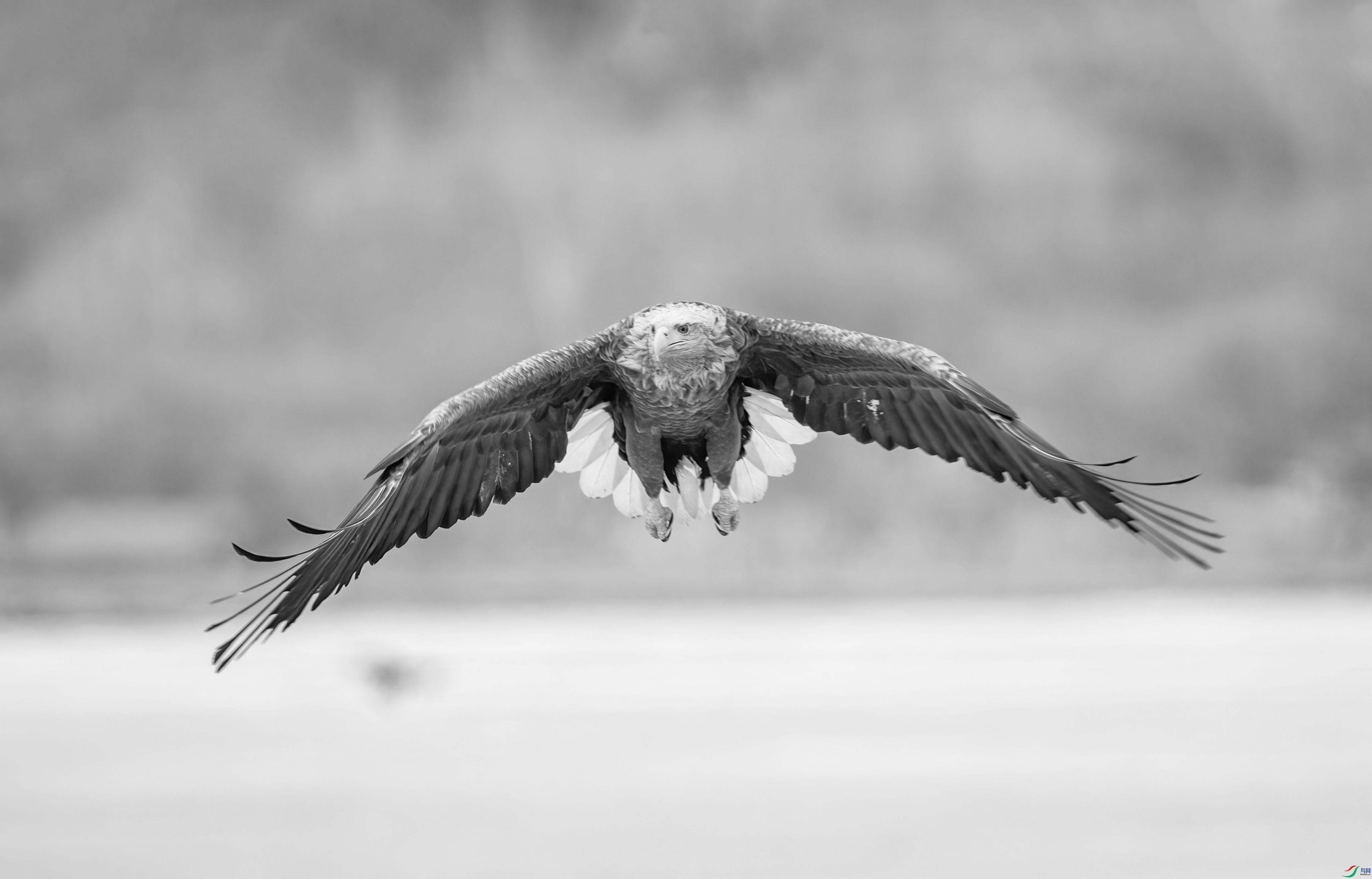 DSC07574 ����.jpg