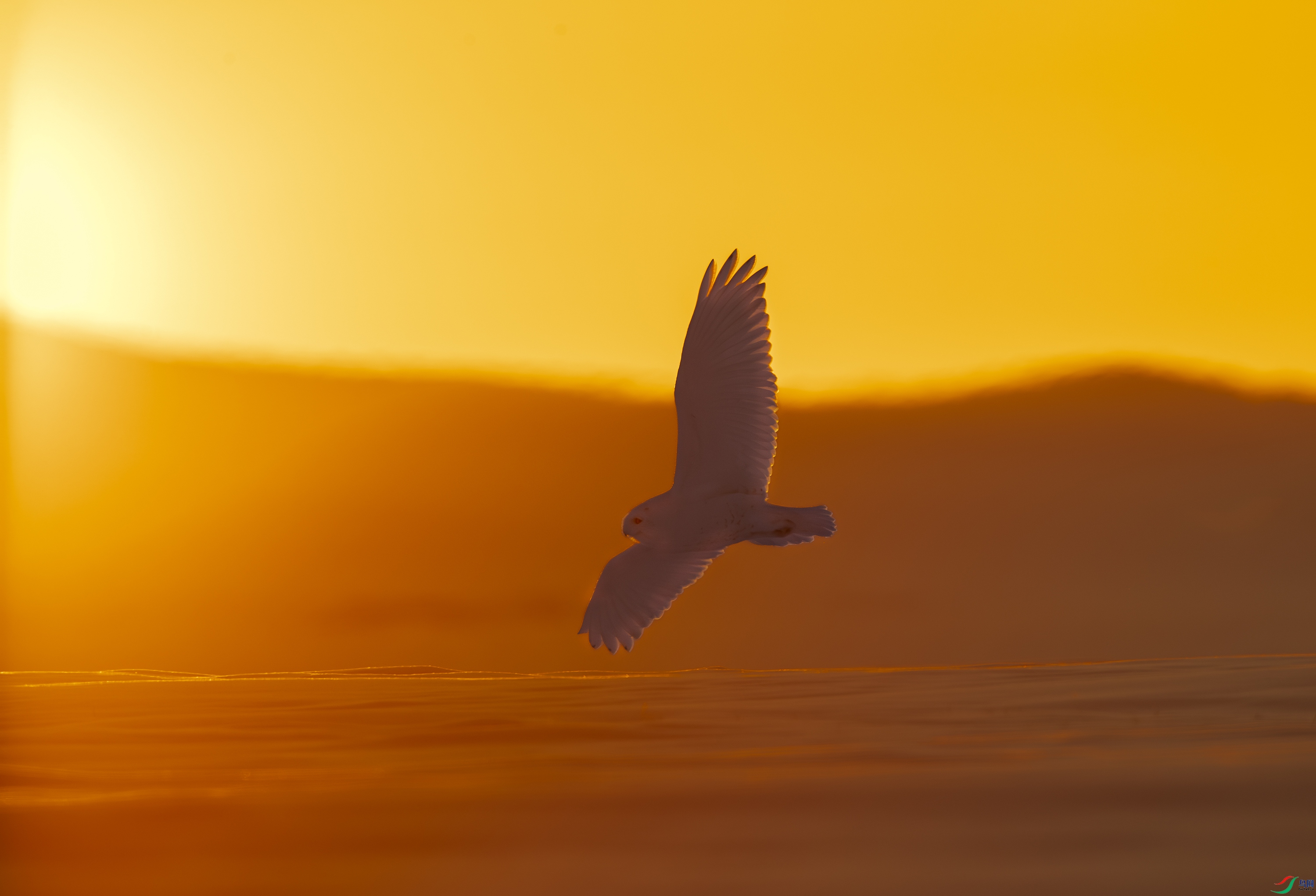 A15I7278-����ǿ-NR ����.jpg