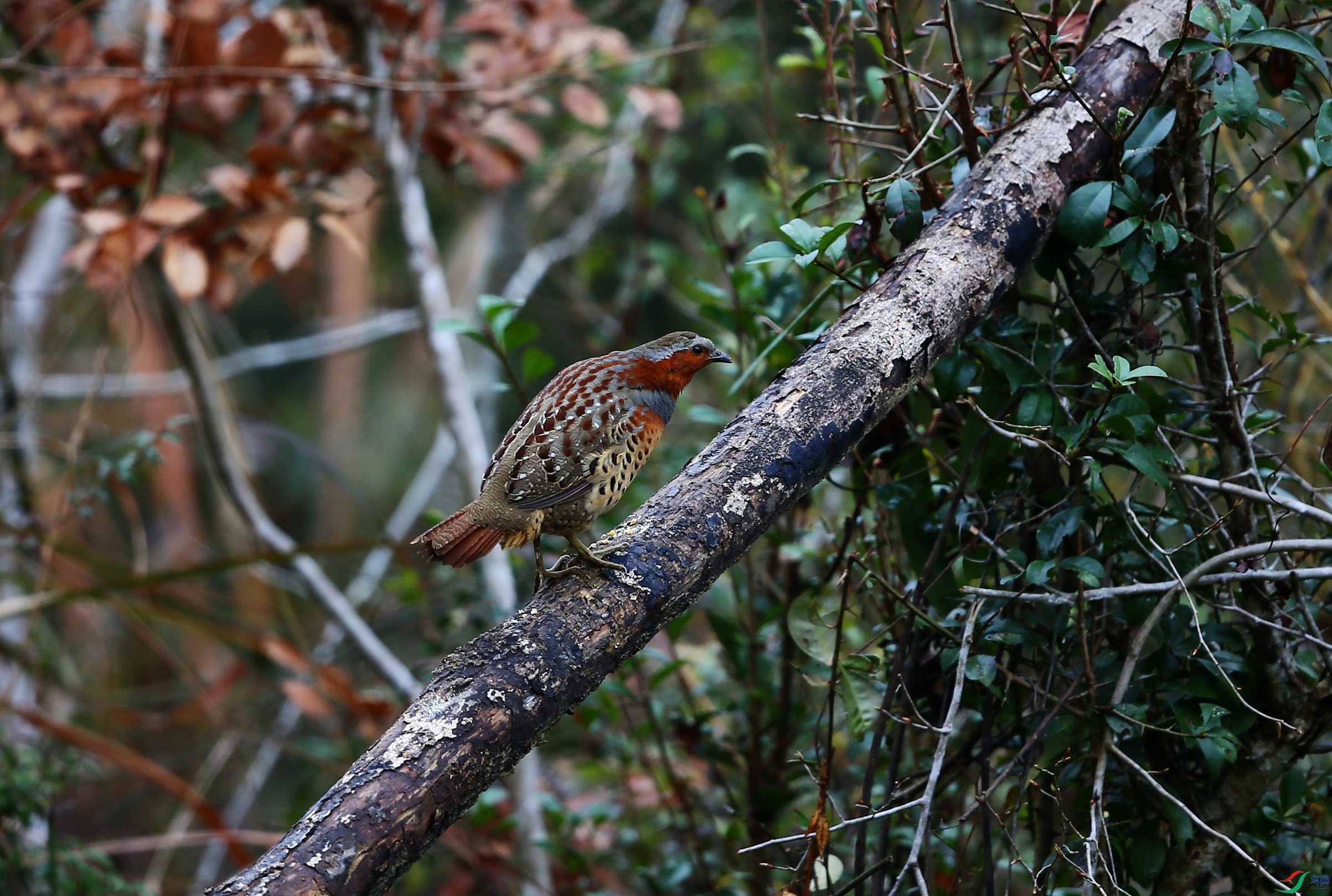 ������ (20).JPG