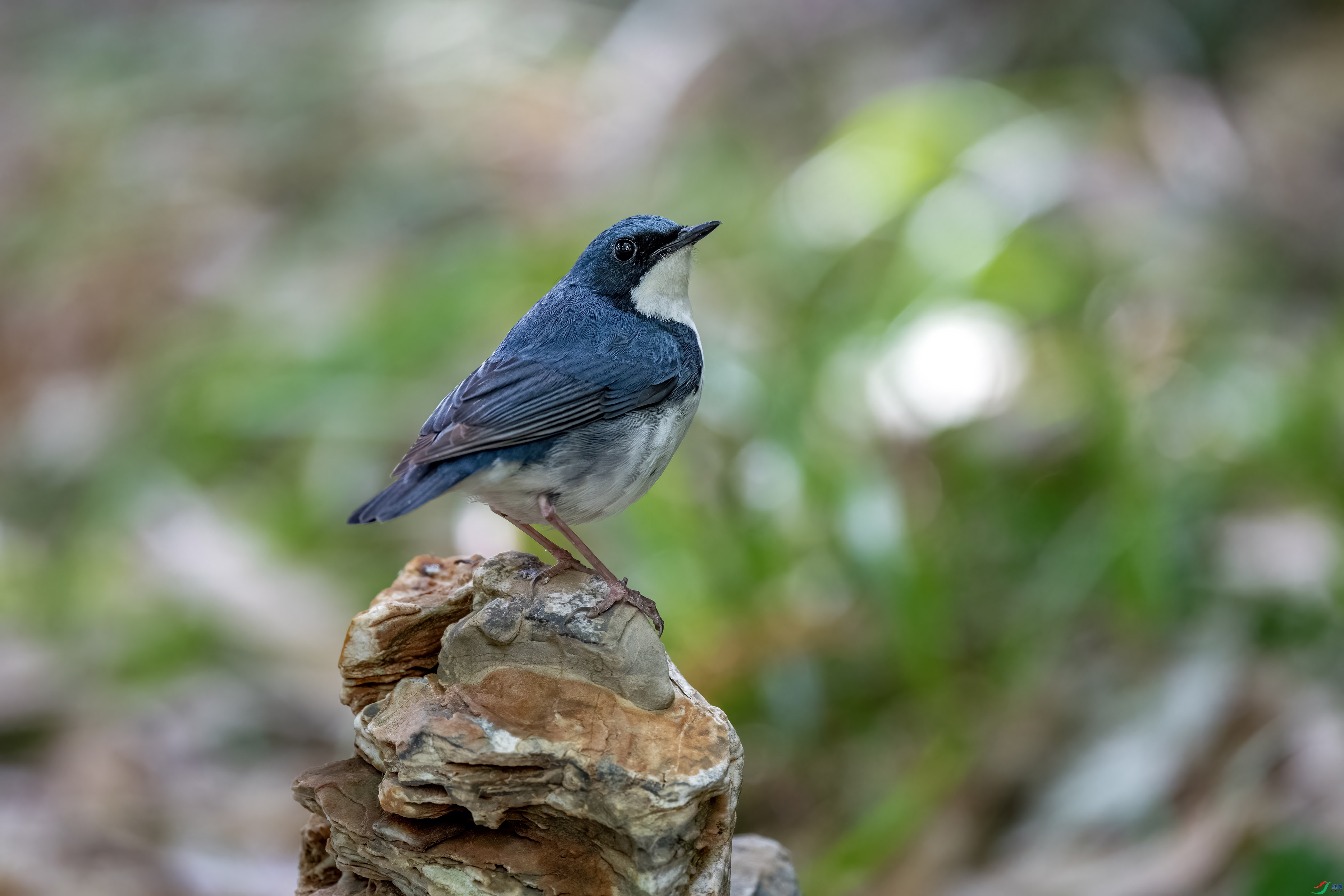 2025����� ����.jpg