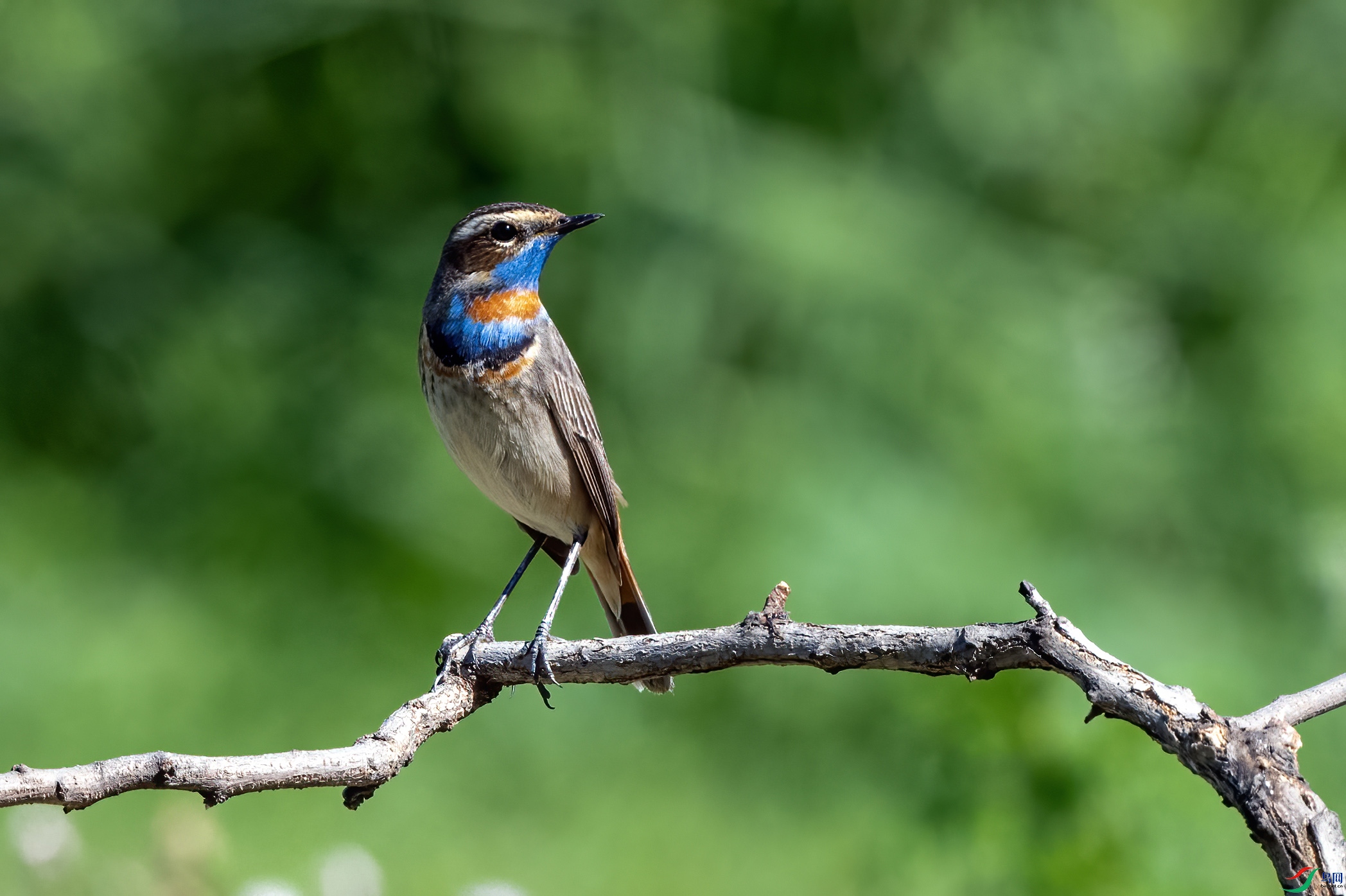 2024������� ����.jpg