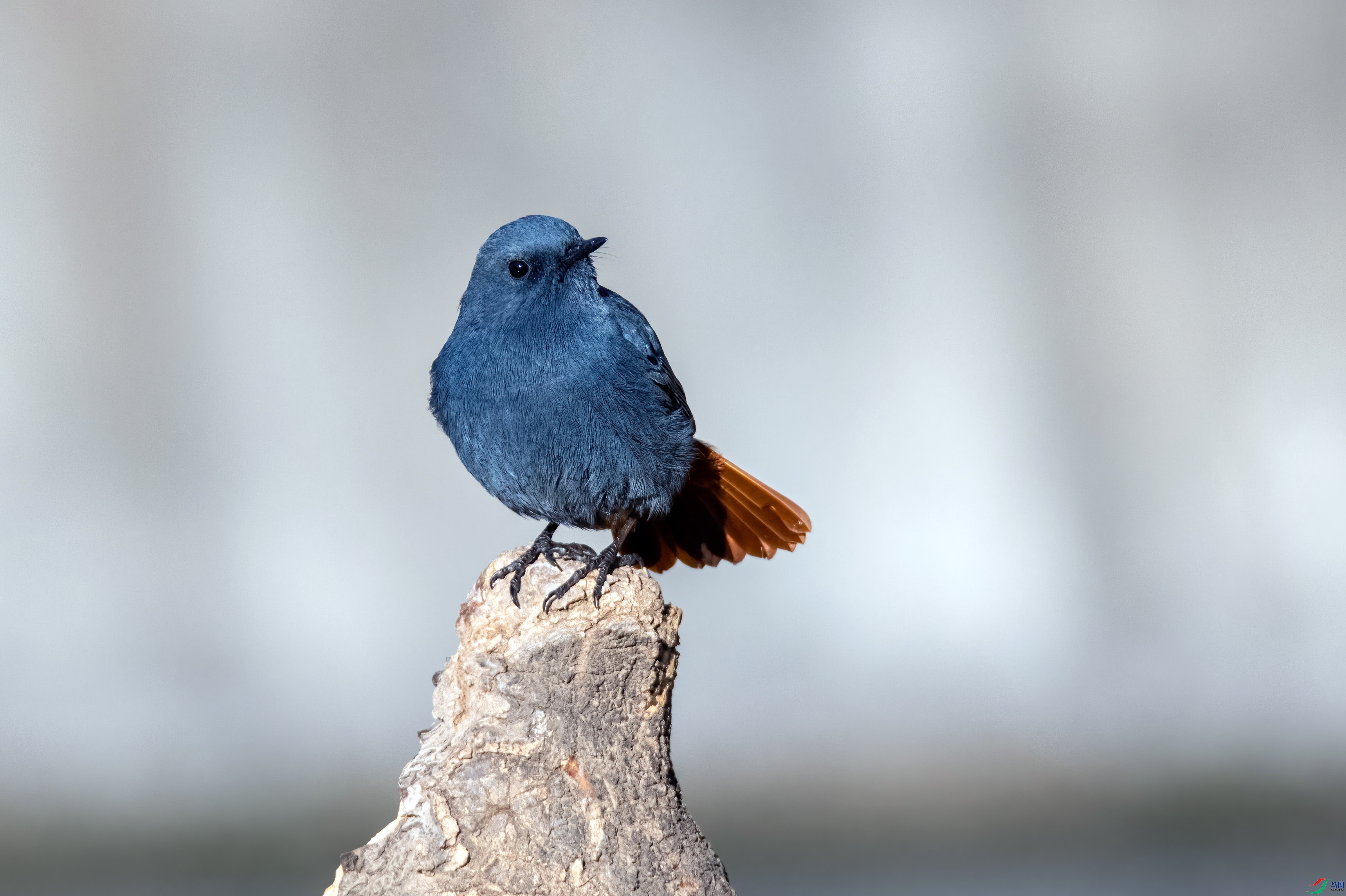 2020��βˮ� ����.jpg