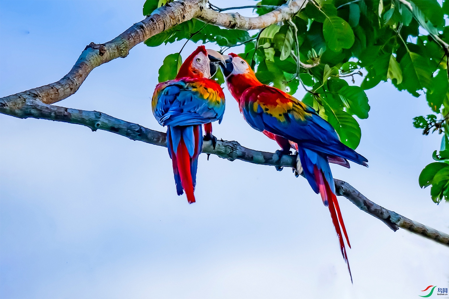 DSC_1351.jpg
