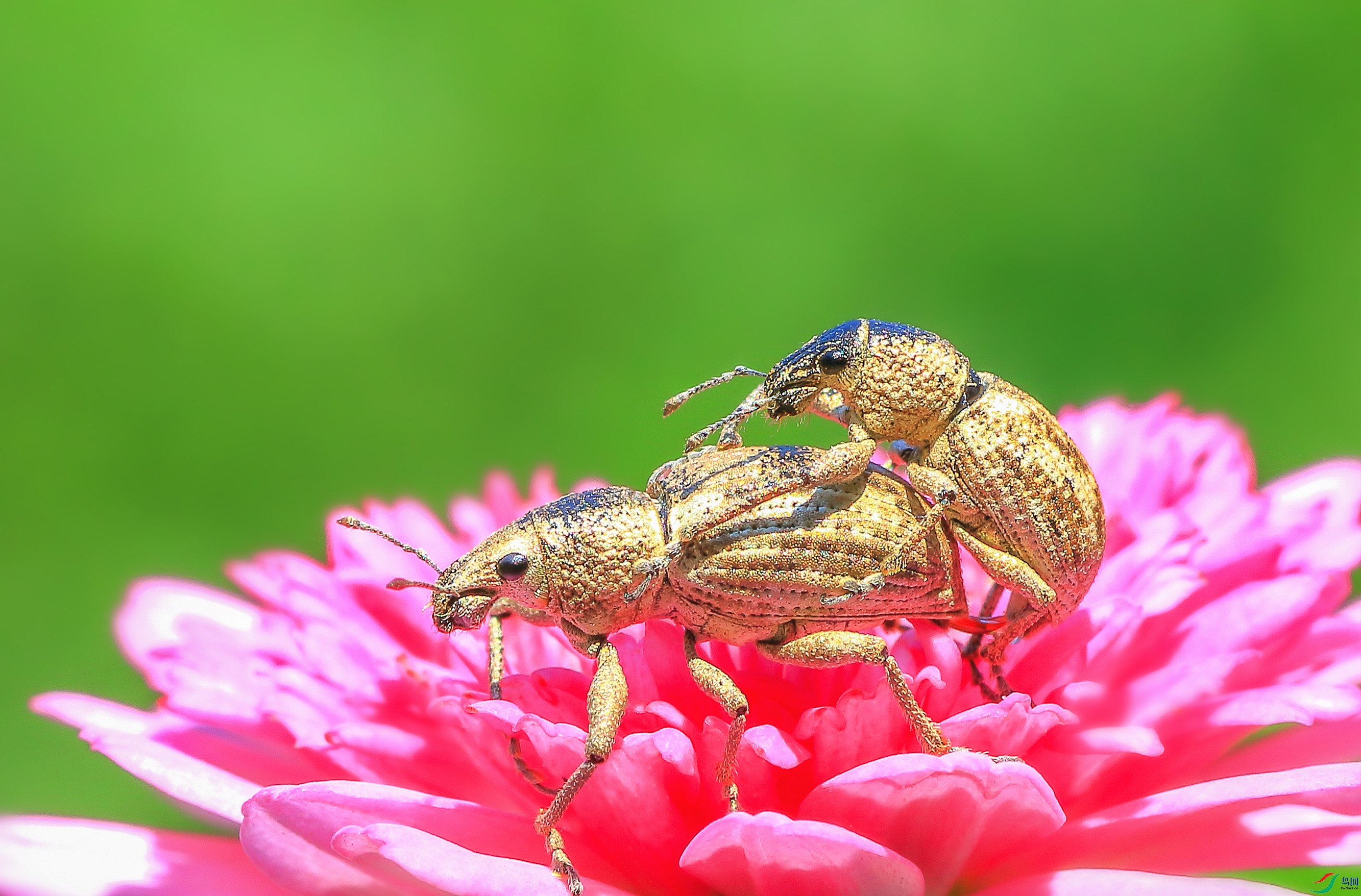 7T8A0347 ����_����.jpg