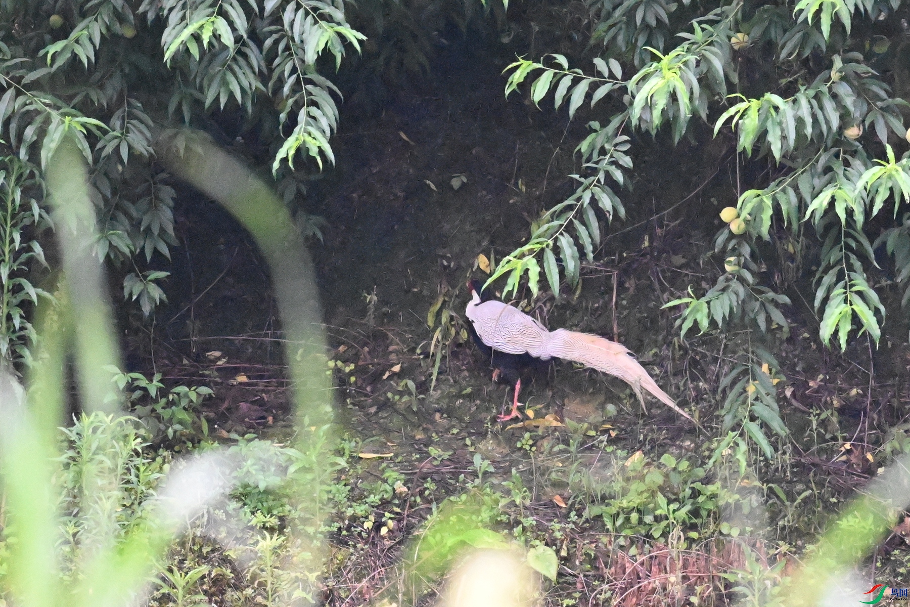 DSC_8314.JPG