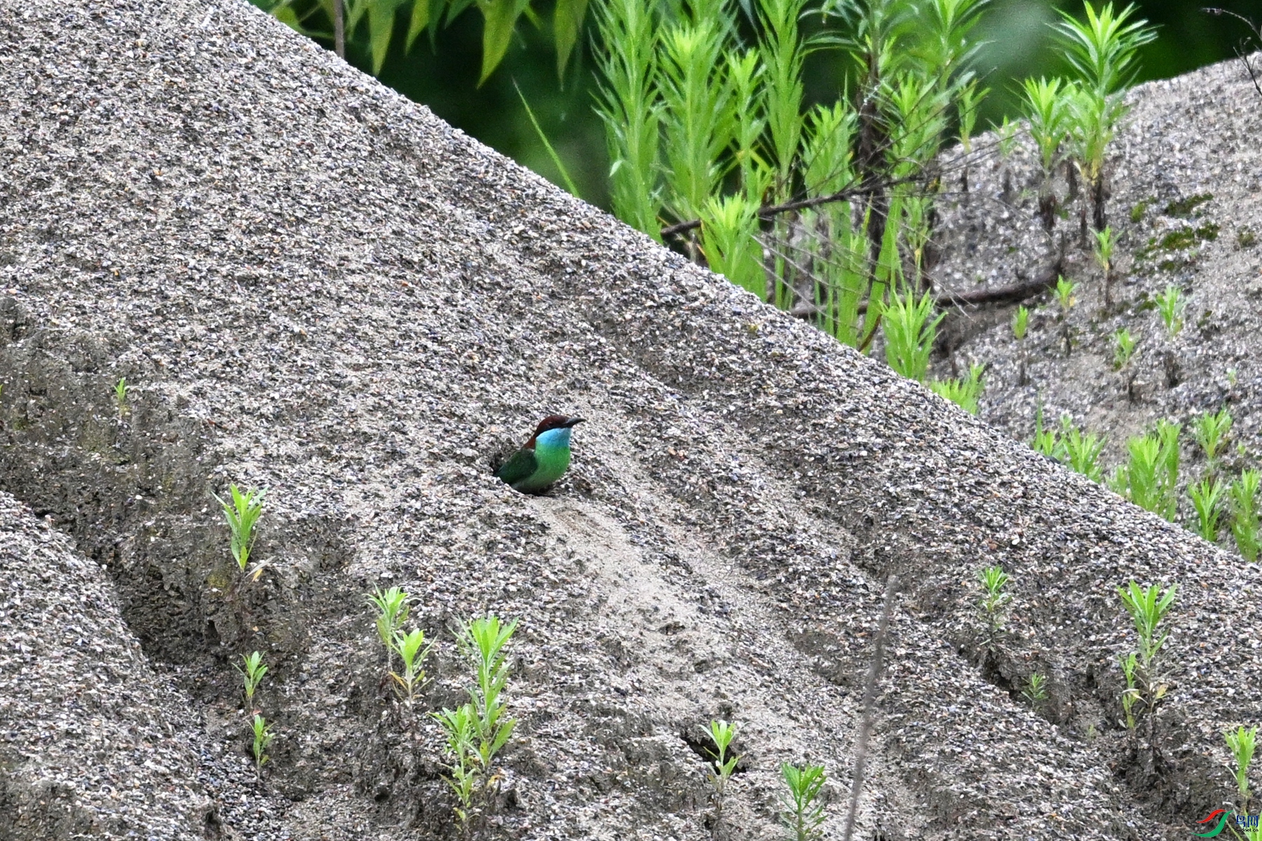DSC_8304.JPG