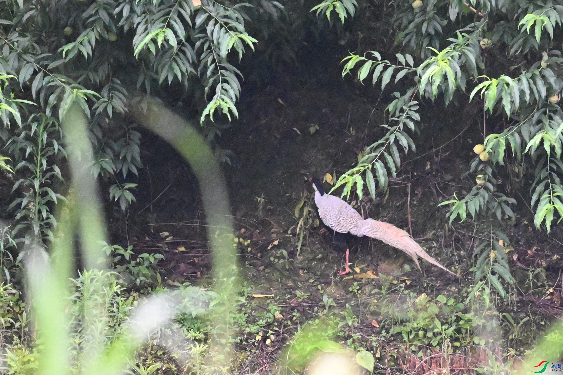 DSC_8315.JPG