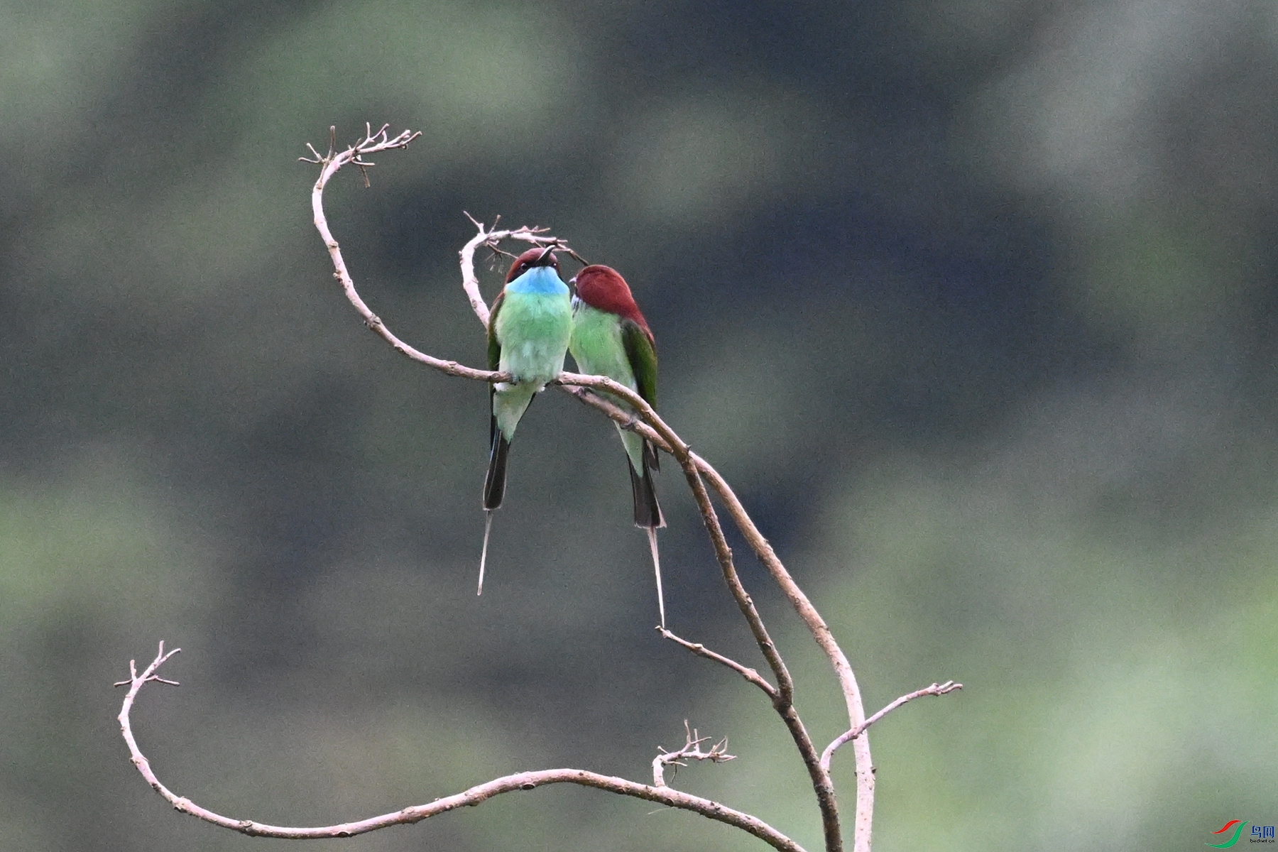 DSC_8323.JPG