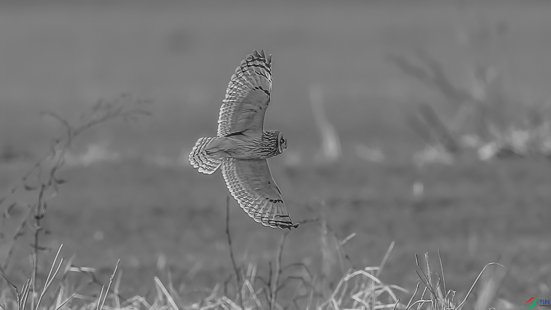 C09R7653 ����.jpg