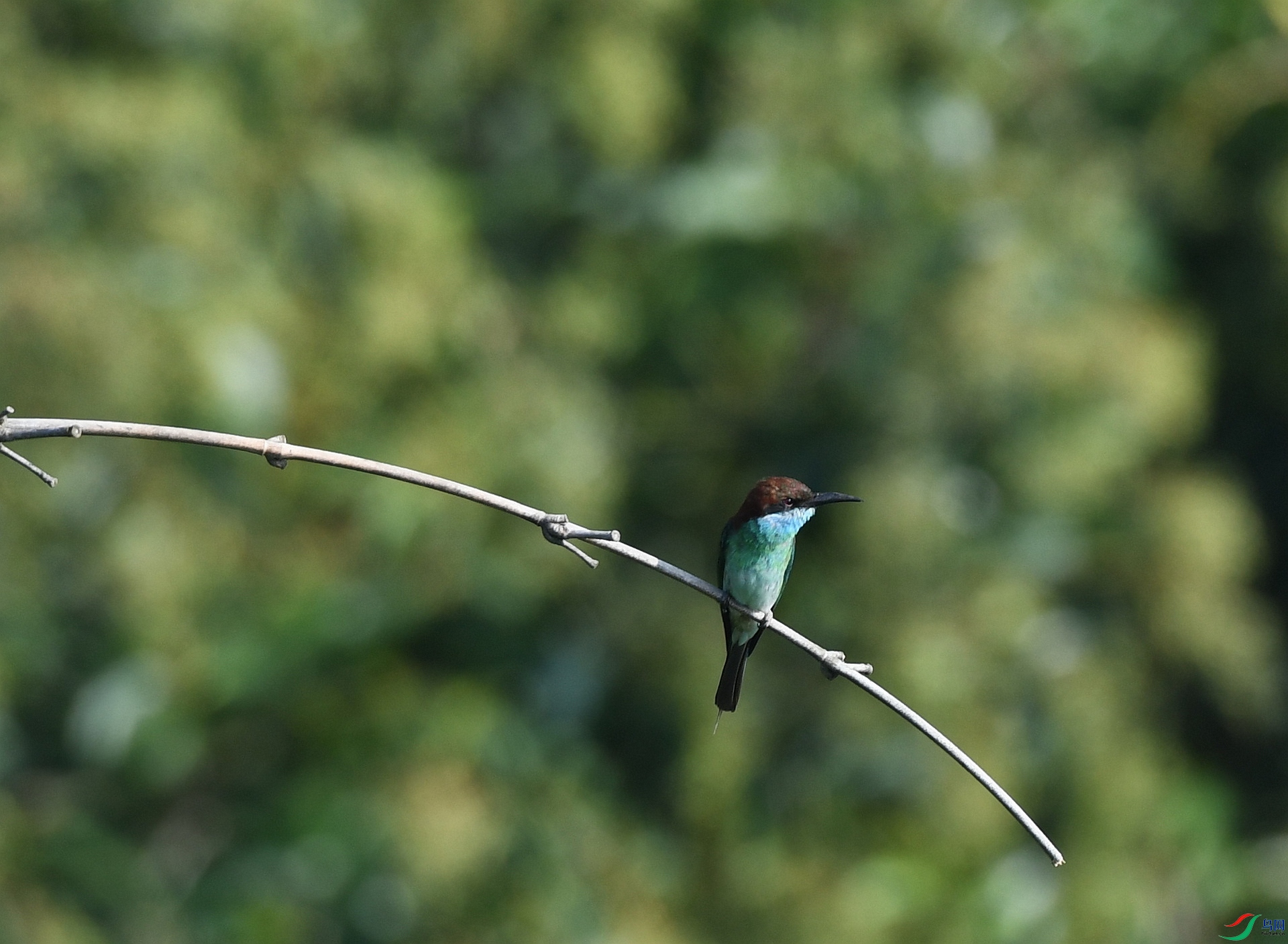 DSC_9553.jpg