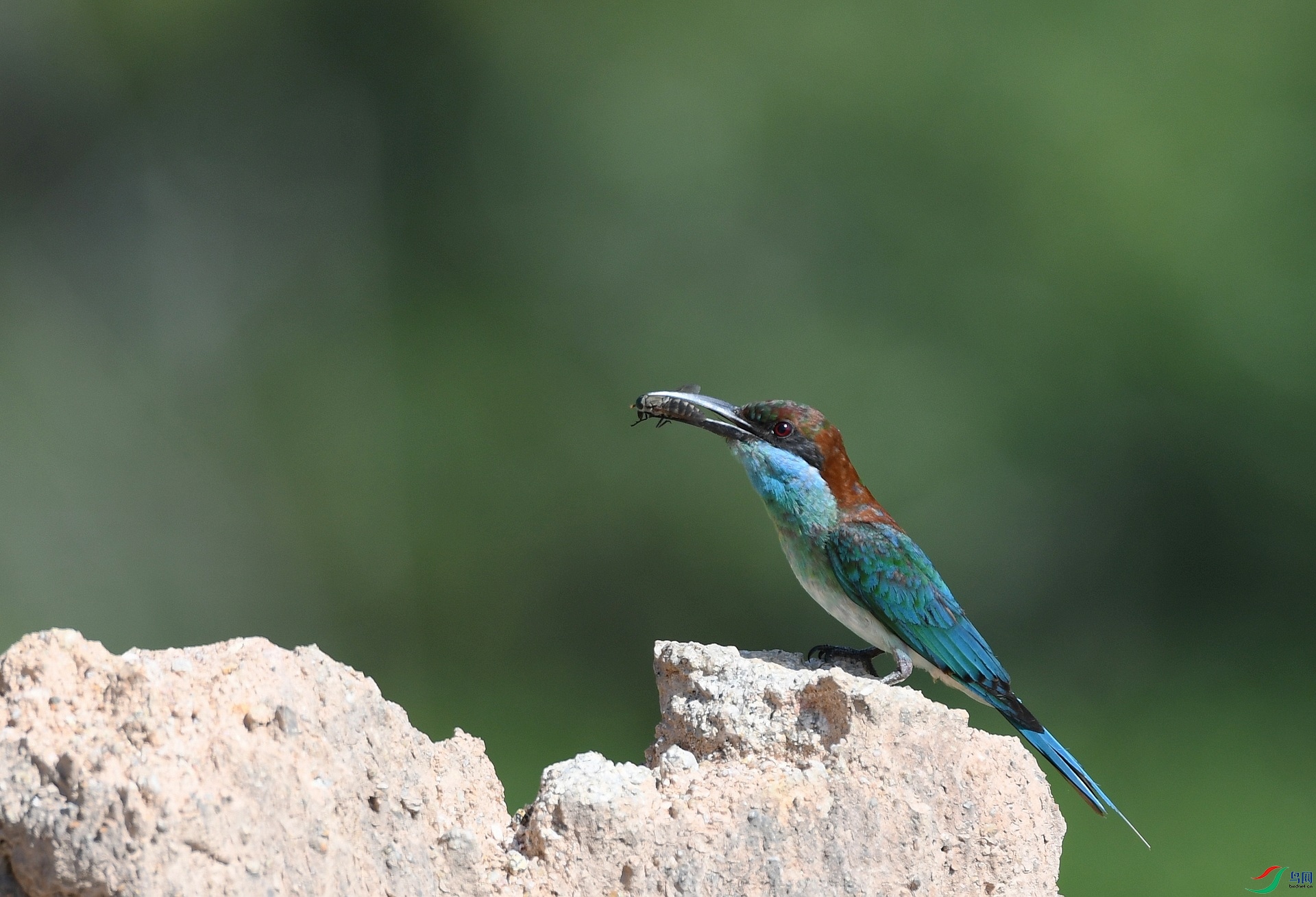DSC_9572.jpg