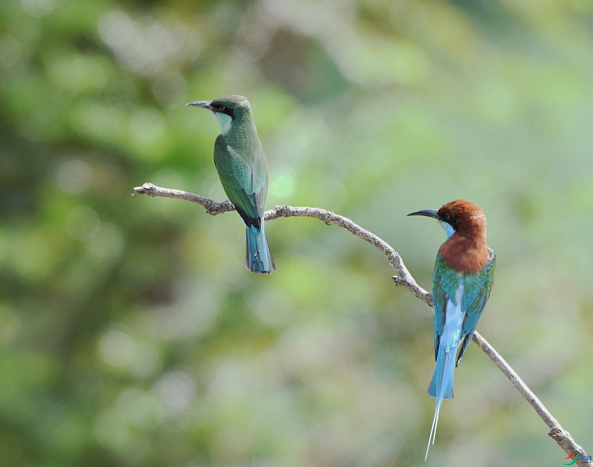 DSC_8785.jpg