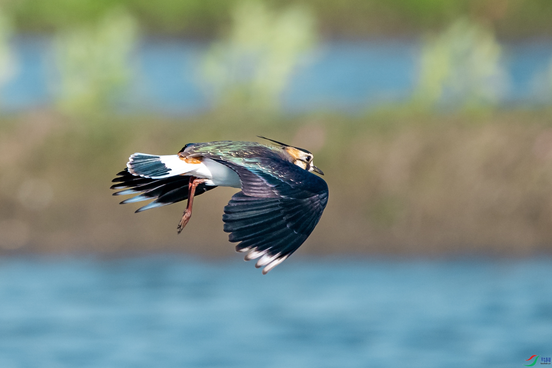 DSC_7562.jpg