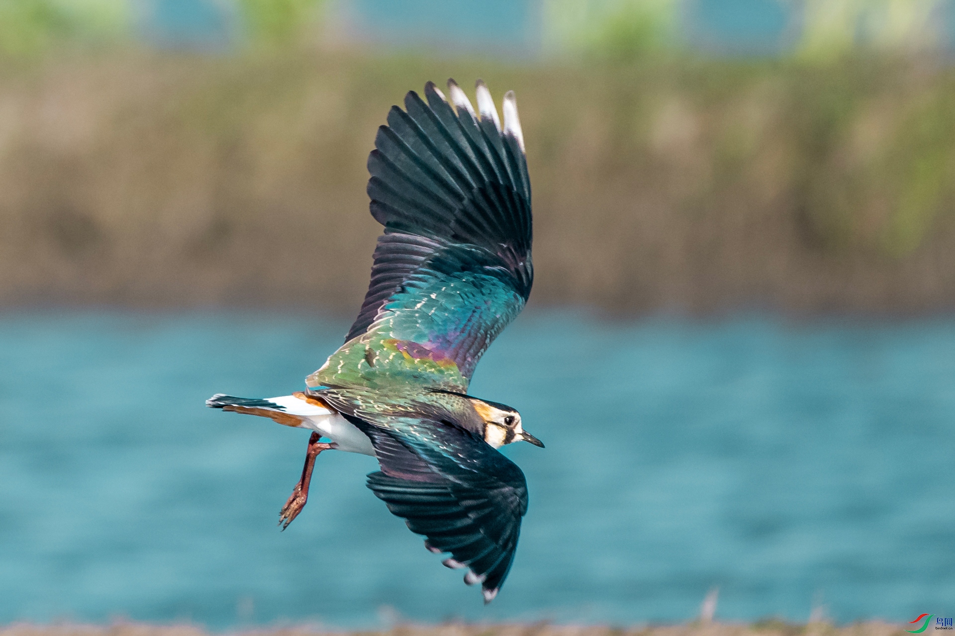 DSC_7565.jpg