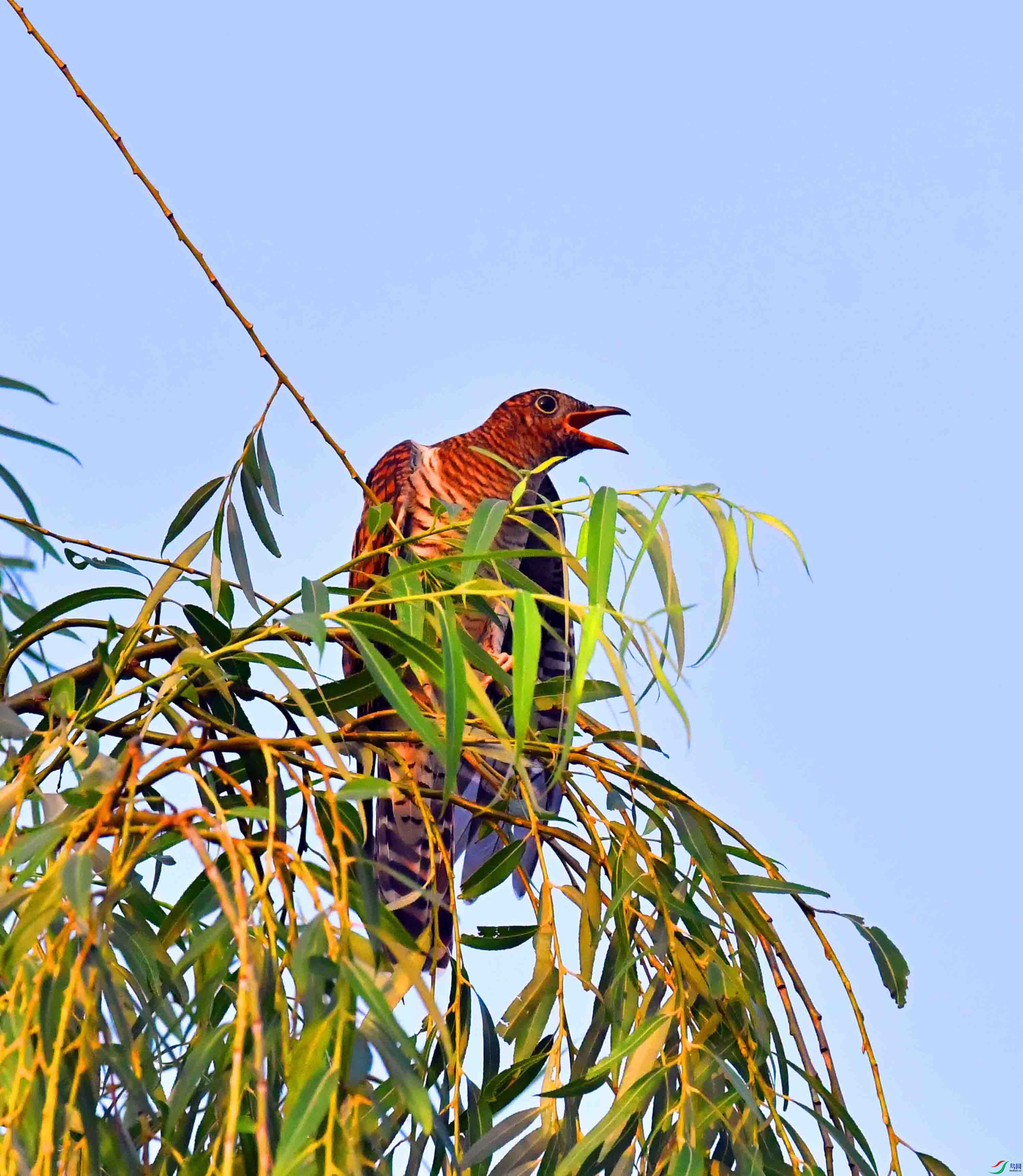 DSC_3729.JPG