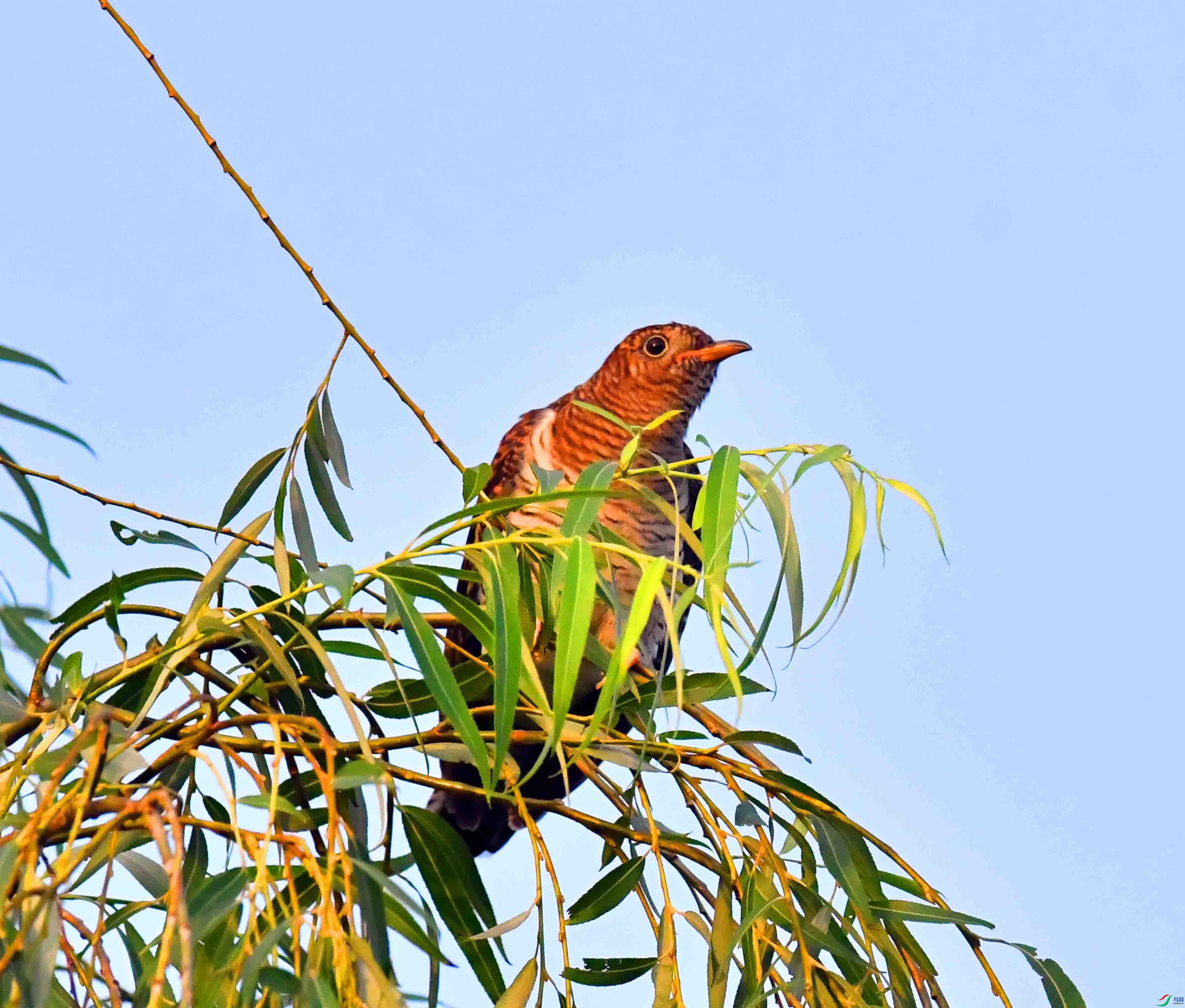 DSC_3762.JPG