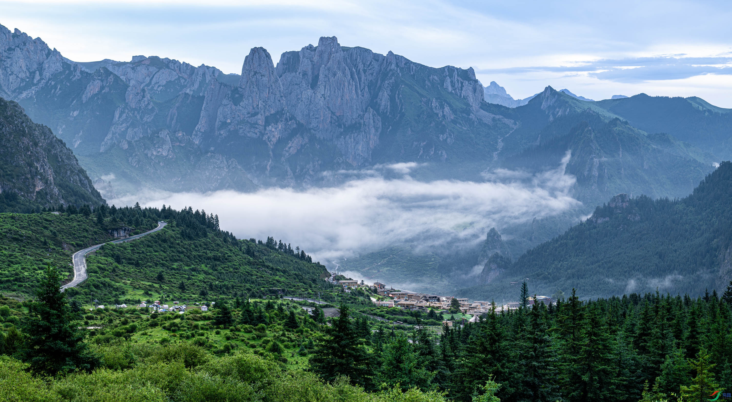 DSC_9637_1.jpg