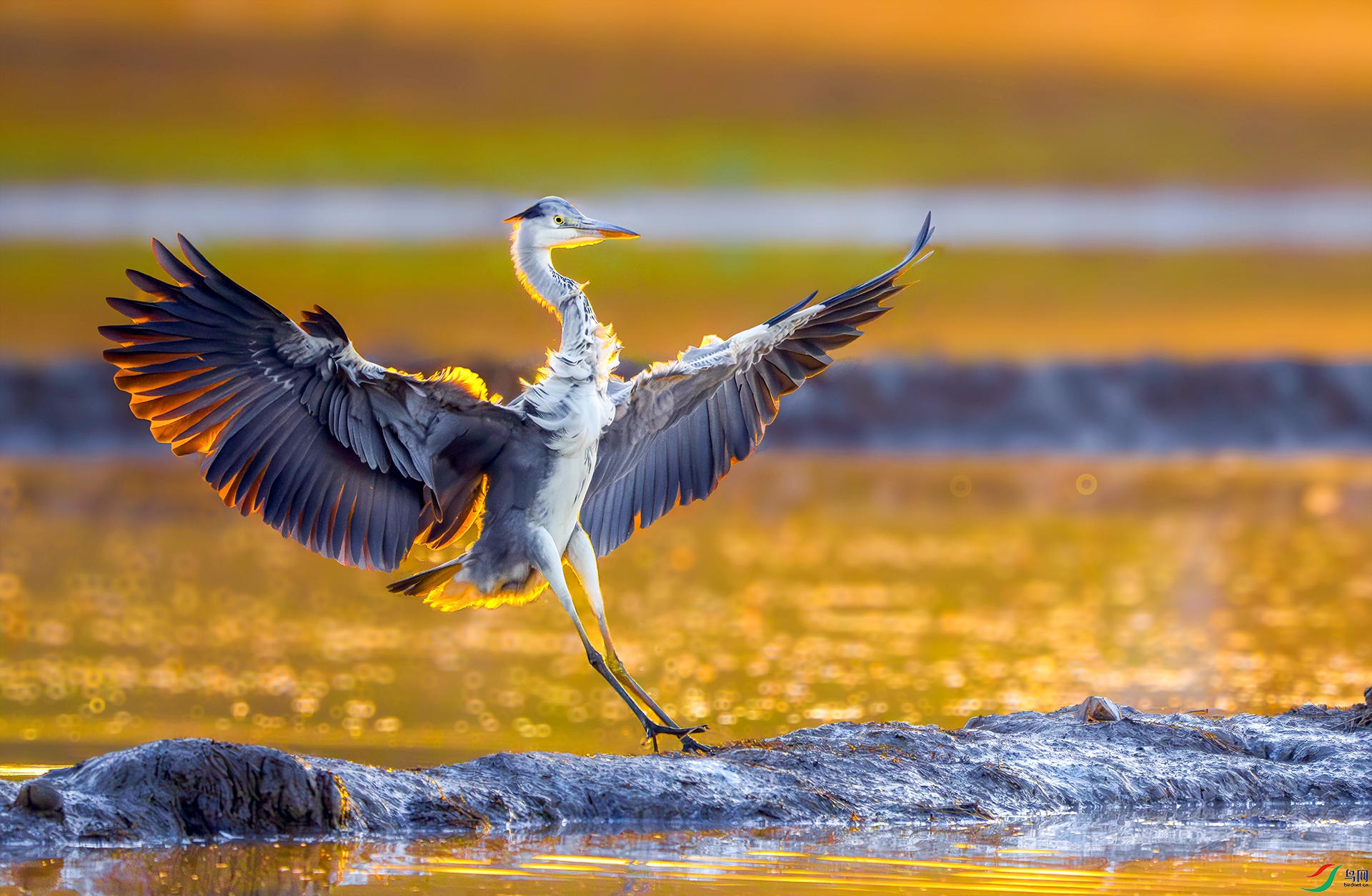 �̽����� ����.jpg