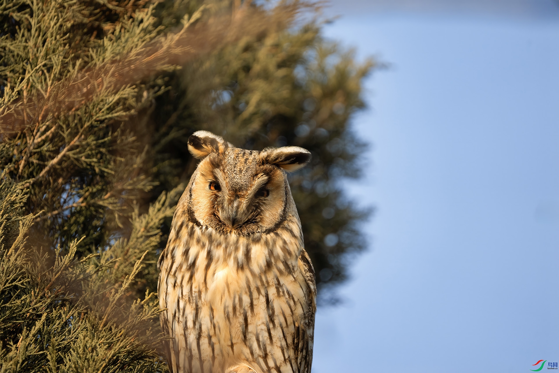 DSC02546 ����.jpg