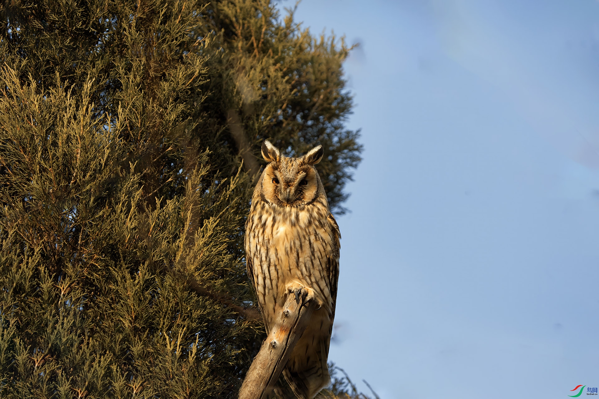 DSC02549 ����.jpg