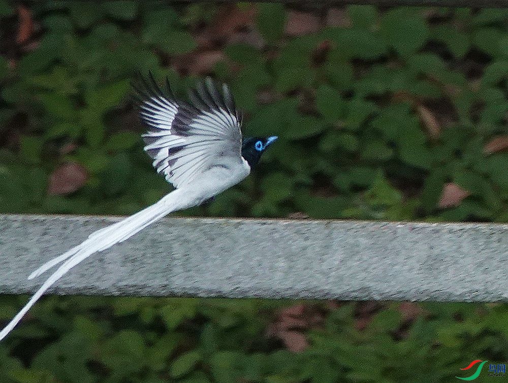 DSC03098_���� - ����.jpg