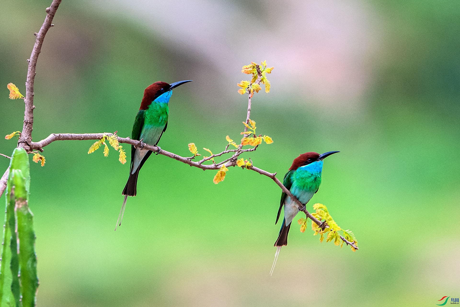 _AUU4583�����仢(24.5.14).jpg