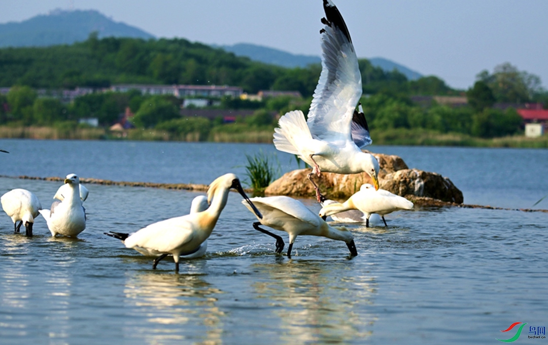 ���յ����͡�