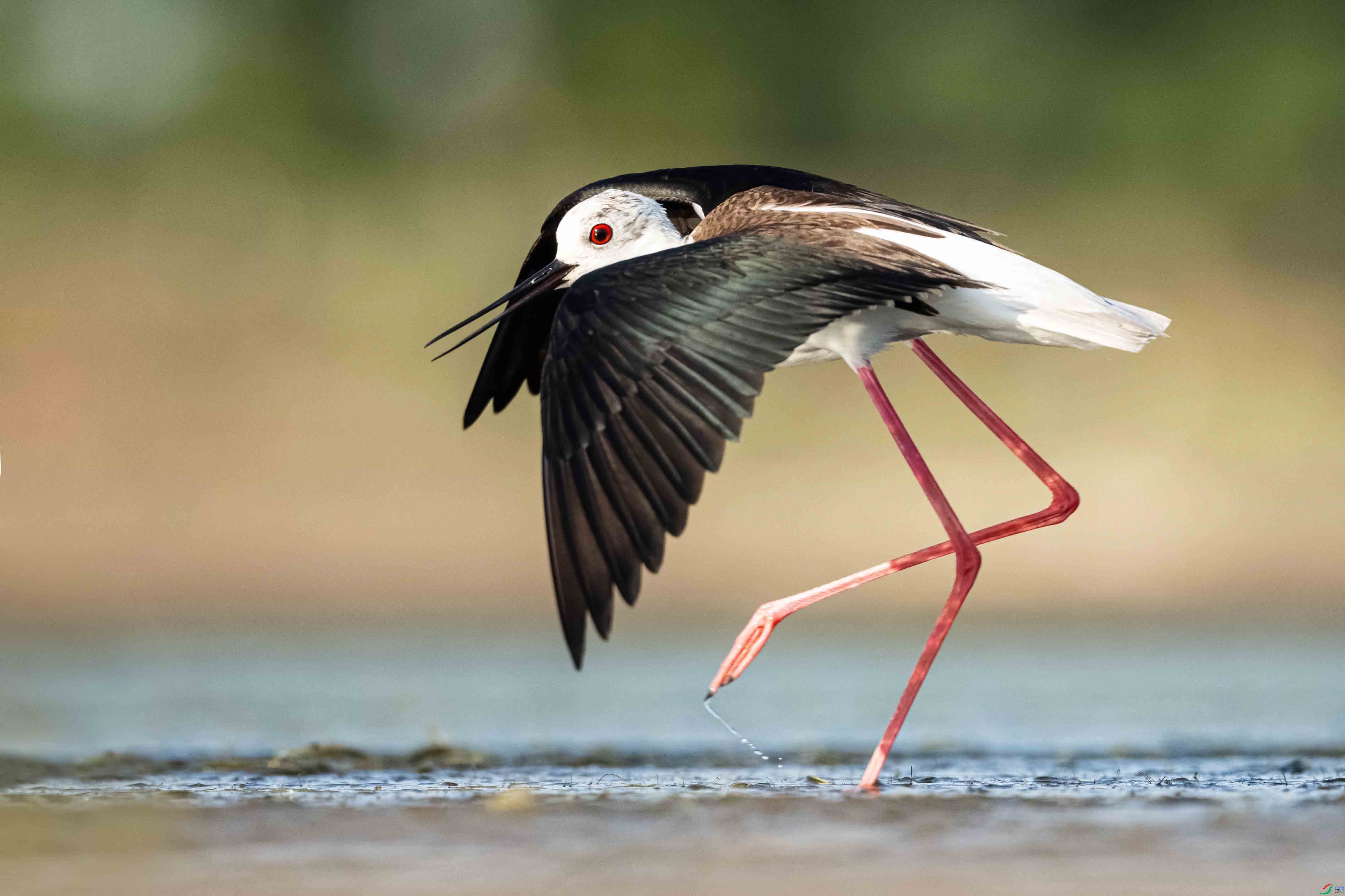 _LYF5308 ���� 2.jpg