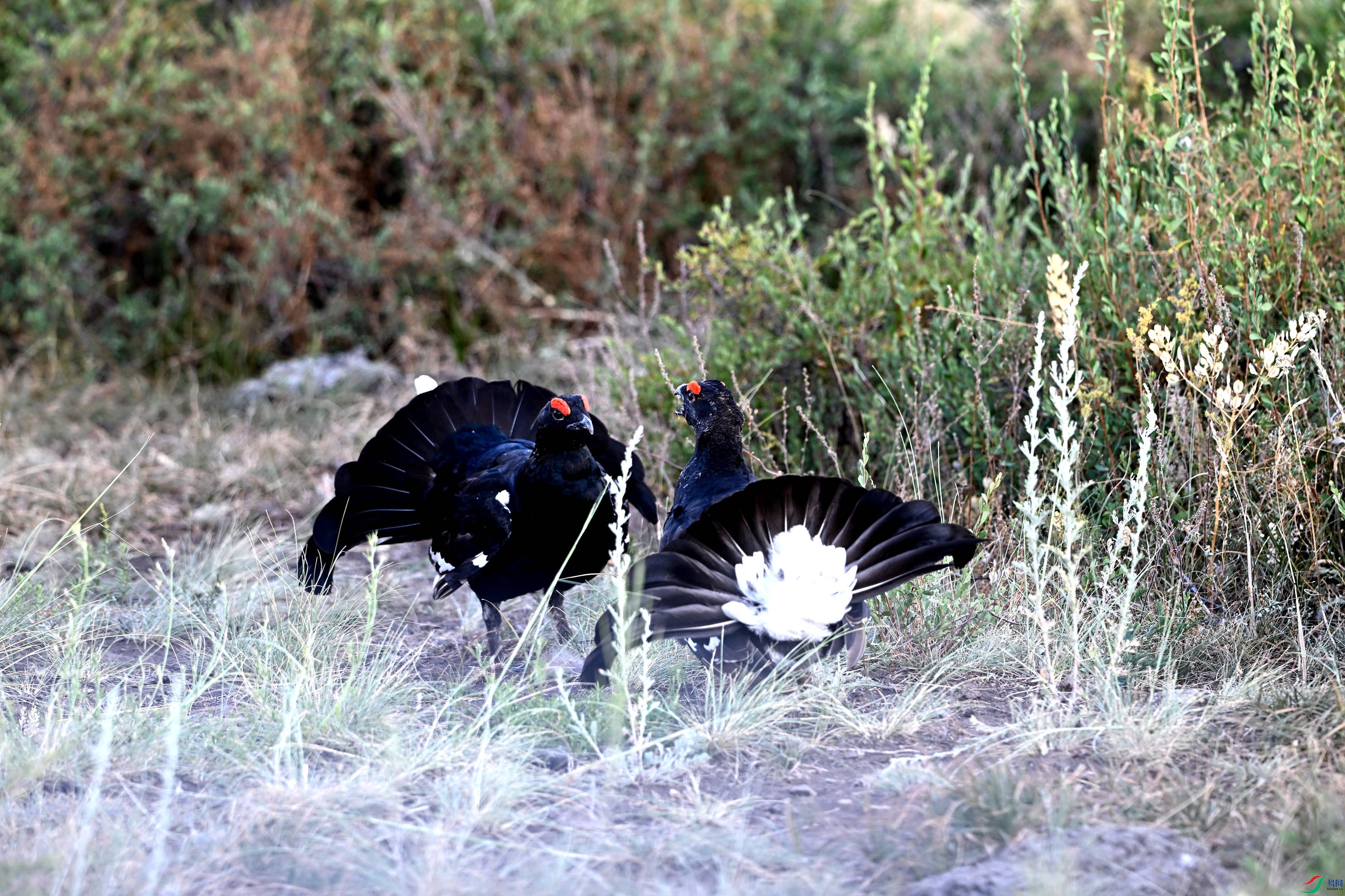 ���ټ� ������165�� (119).JPG