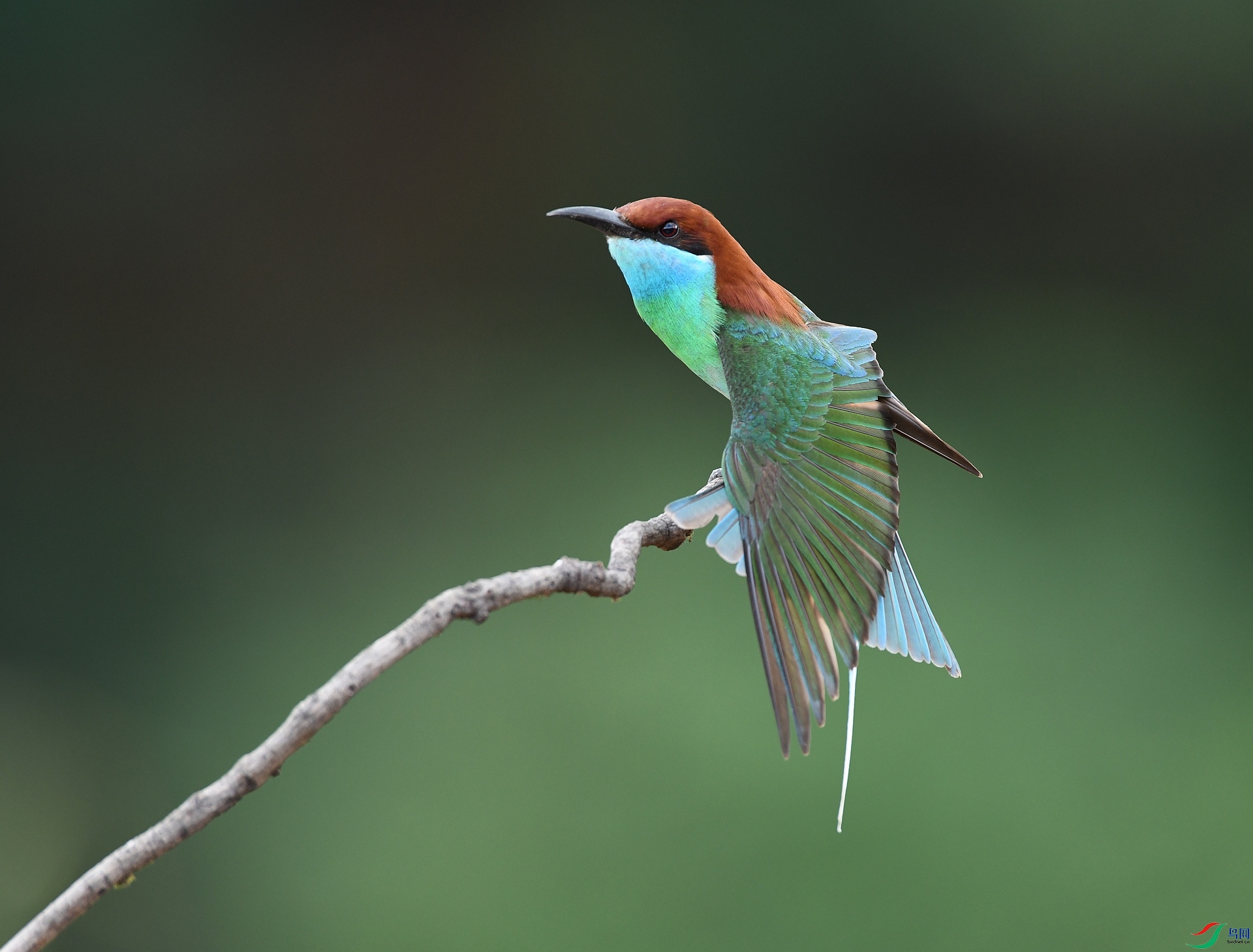 DSC_3831.jpg