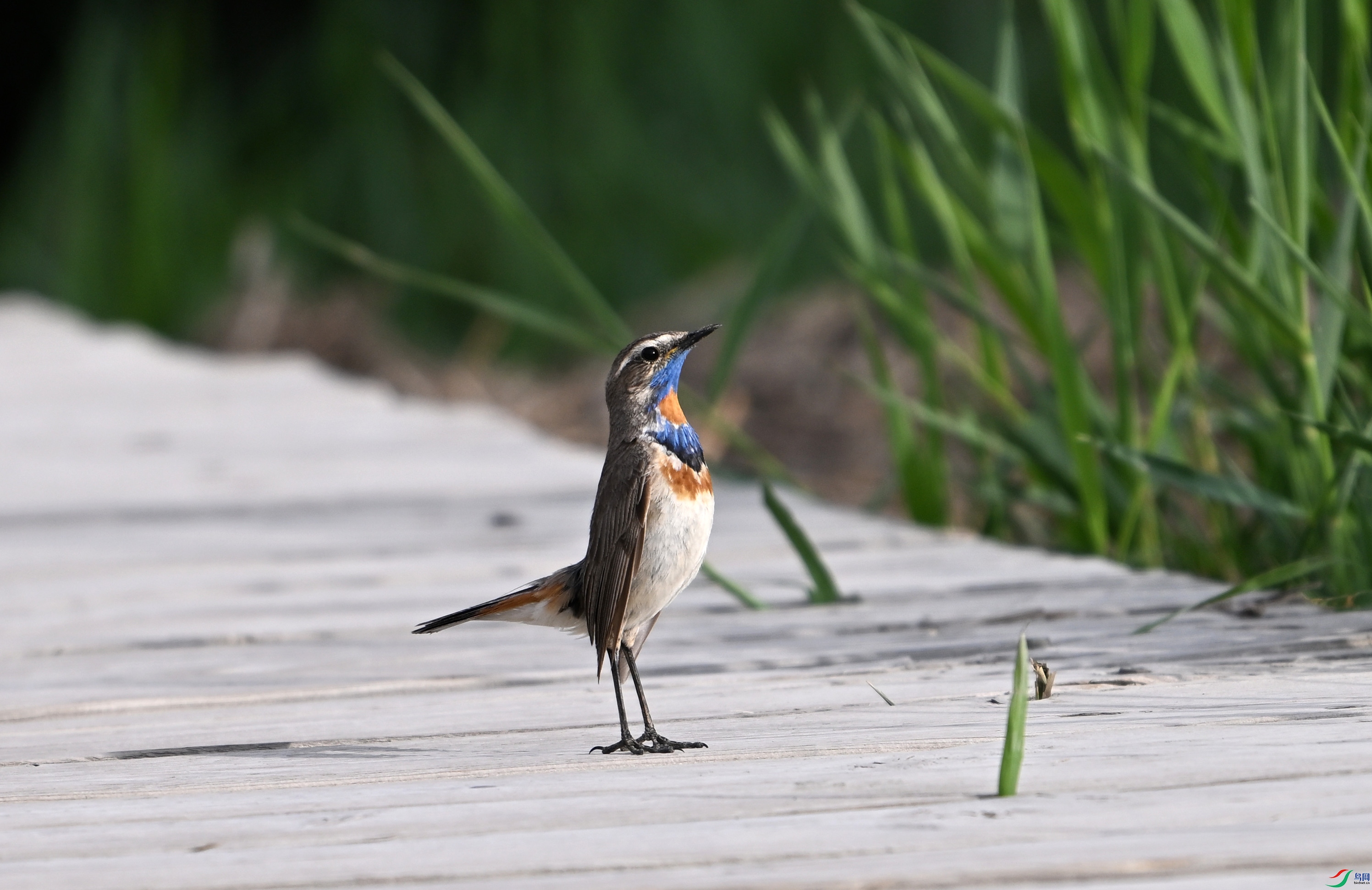 ������� �������߼Һ�ʪ�� (1).JPG