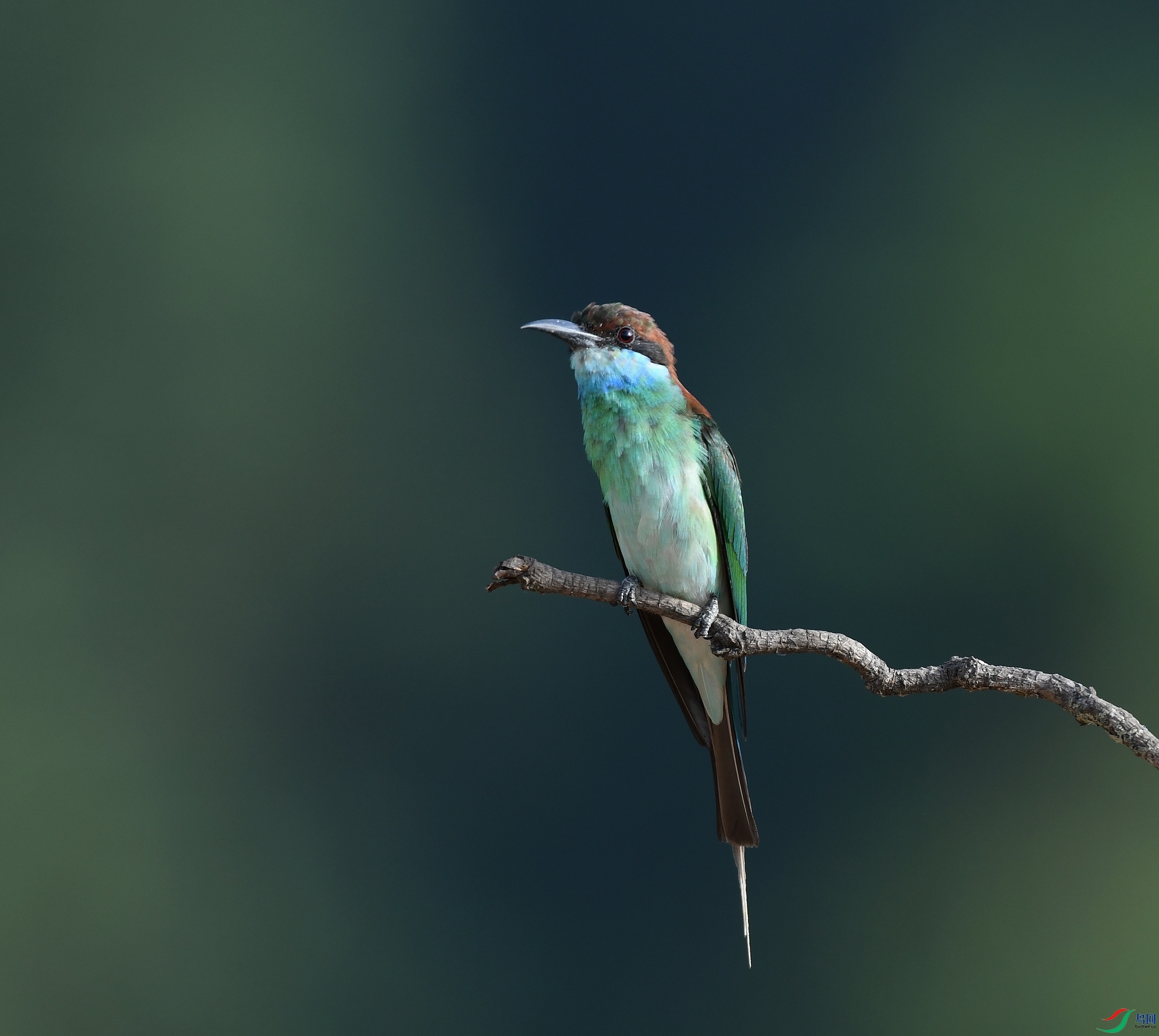 DSC_3783.jpg