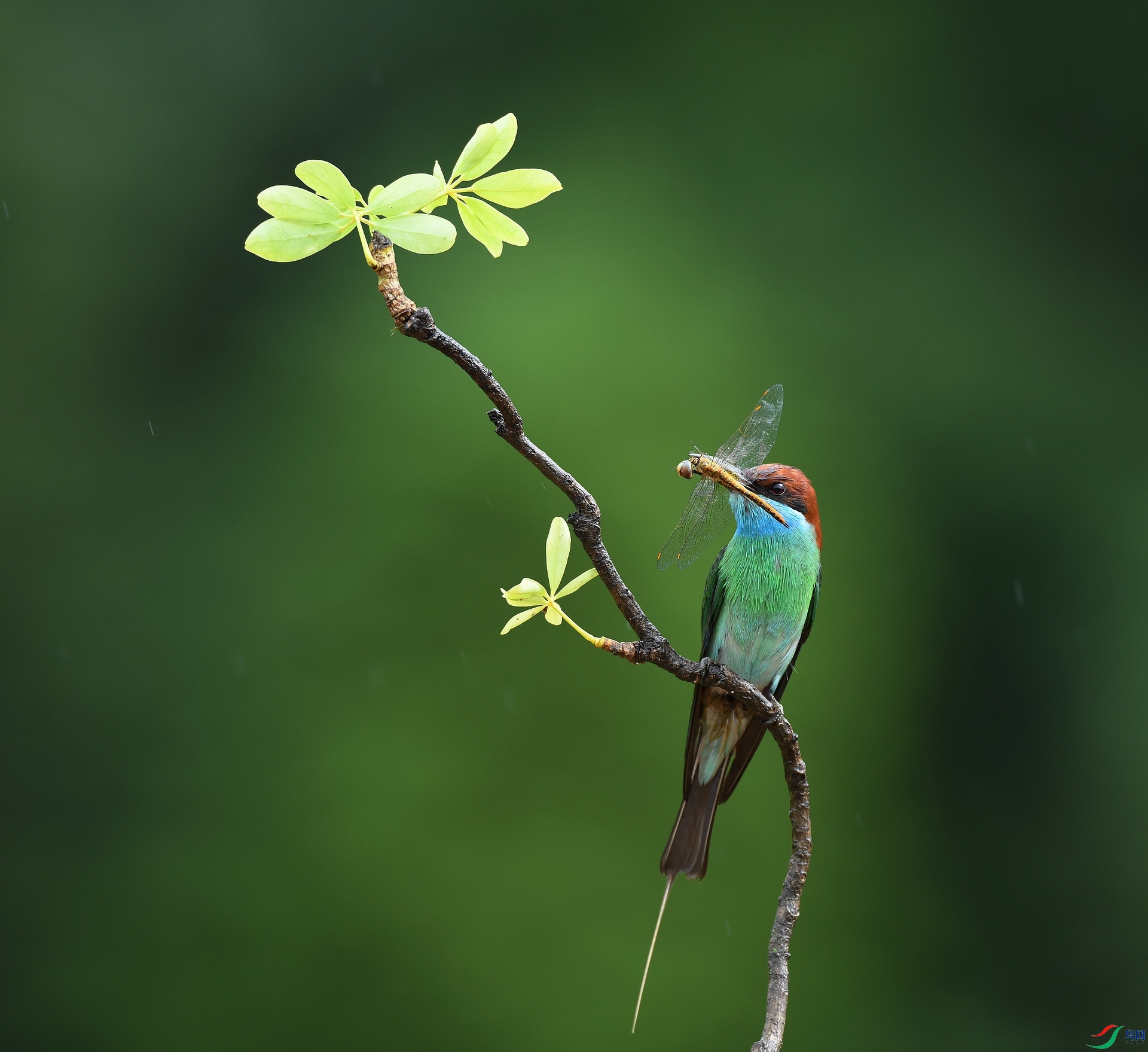 DSC_9408.jpg